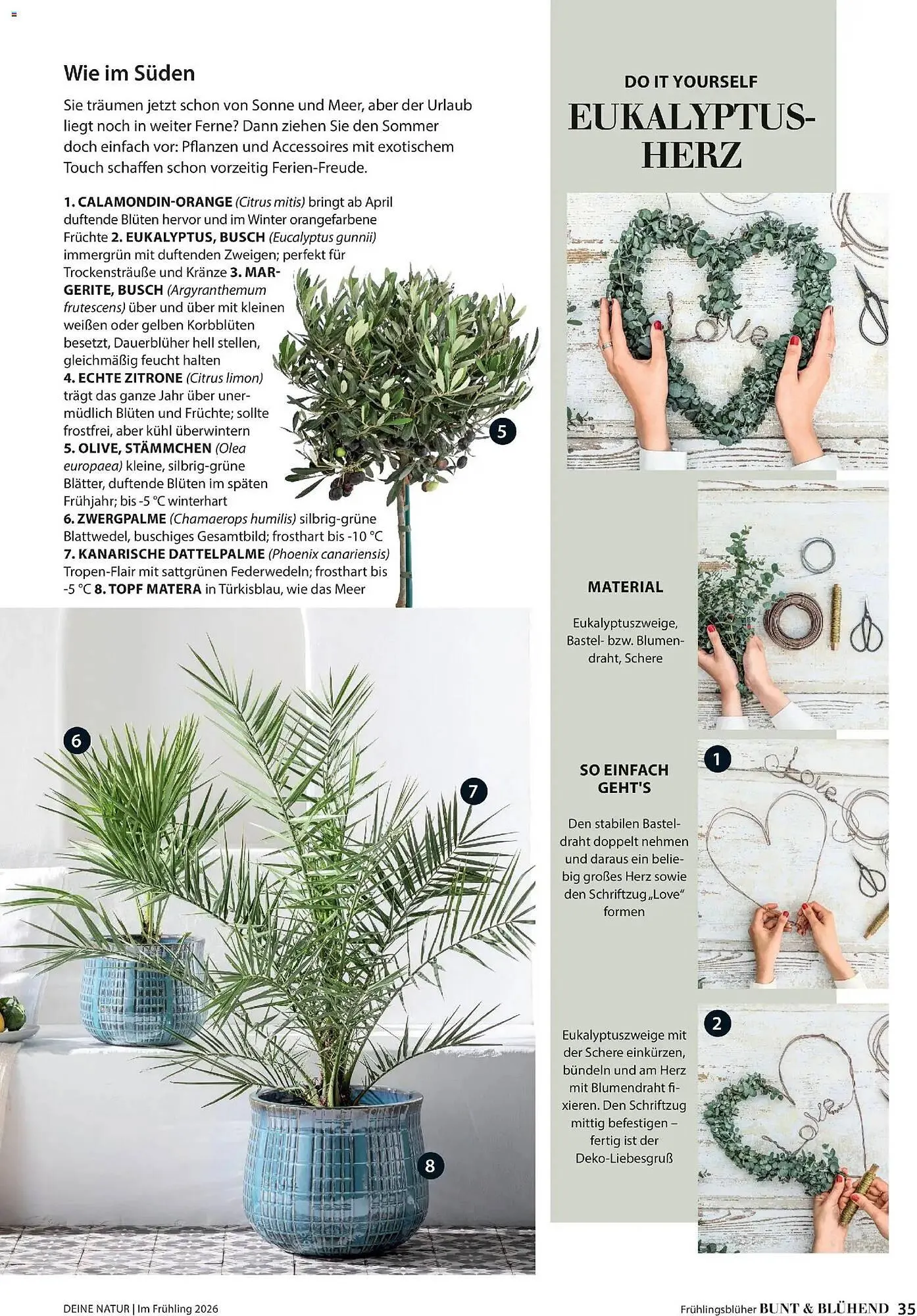 Dehner Prospekt von 4. März bis 31. Mai 2026 - Prospekt seite 35