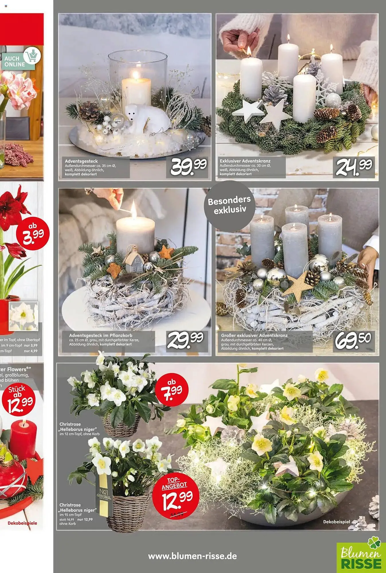 Blumen Risse Prospekt von 13. November bis 23. November 2025 - Prospekt seite 5