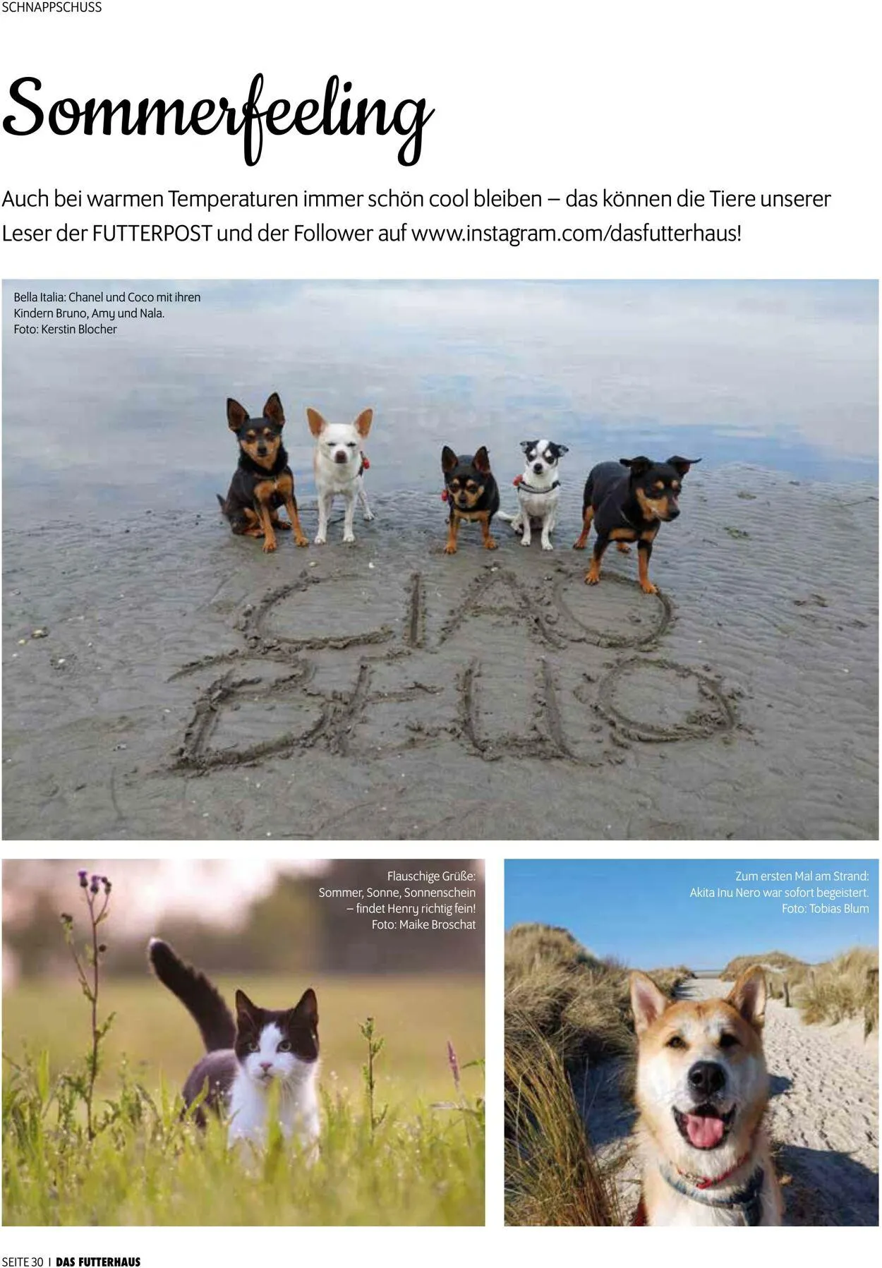 Futterhaus Aktueller Prospekt von 1. Juni bis 30. Juni 2025 - Prospekt seite 30