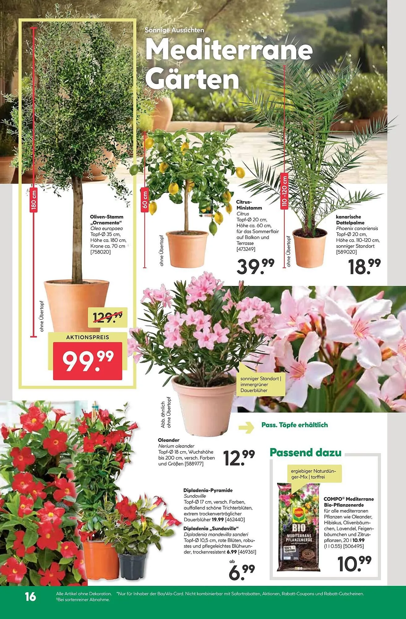 BayWa Prospekt von 28. April bis 3. Mai 2025 - Prospekt seite 26