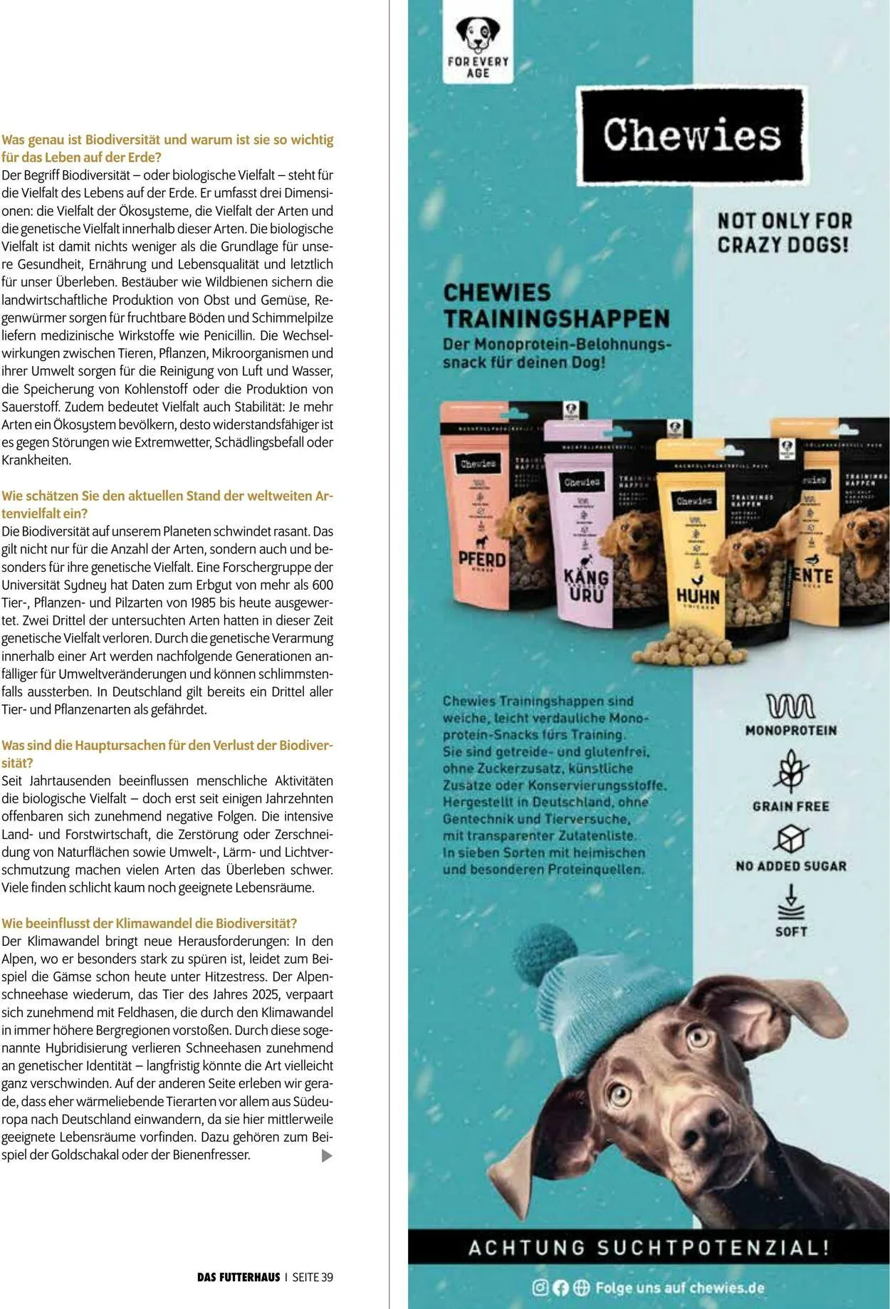 Futterhaus Aktueller Prospekt von 1. Dezember bis 31. Dezember 2025 - Prospekt seite 39