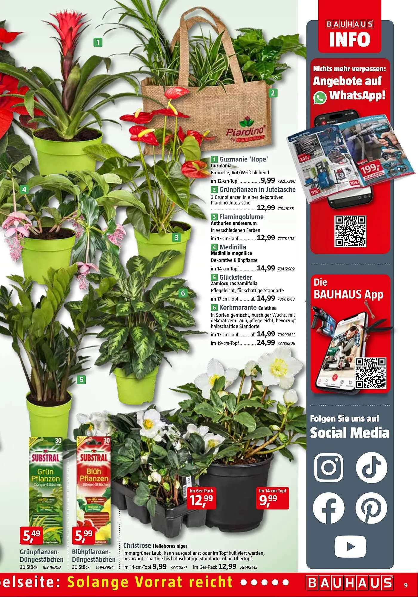 Bauhaus Prospekt von 1. November bis 29. November 2025 - Prospekt seite 9