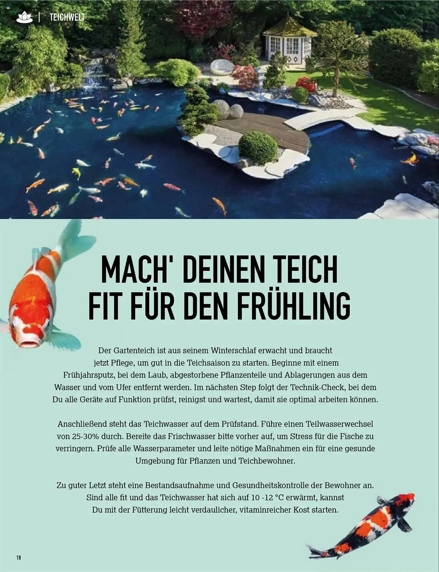 Kölle Zoo Prospekt von 3. April bis 9. April 2025 - Prospekt seite 18