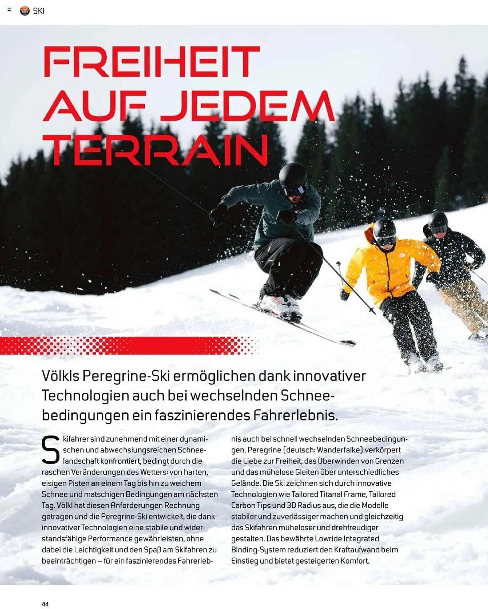 Sport 2000 Prospekt von 4. Dezember bis 28. Februar 2026 - Prospekt seite 37