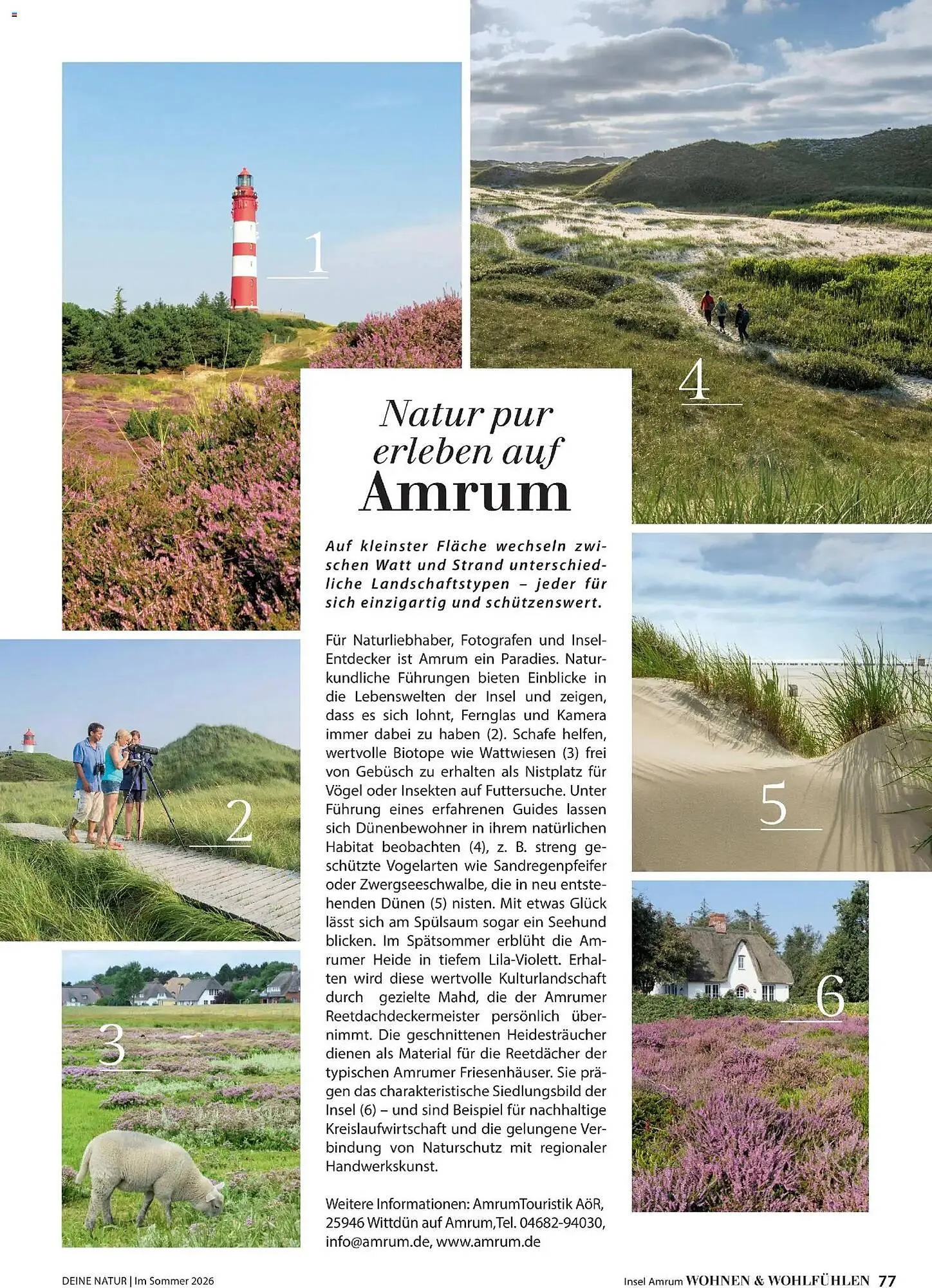 Dehner Prospekt von 17. April bis 31. August 2026 - Prospekt seite 77