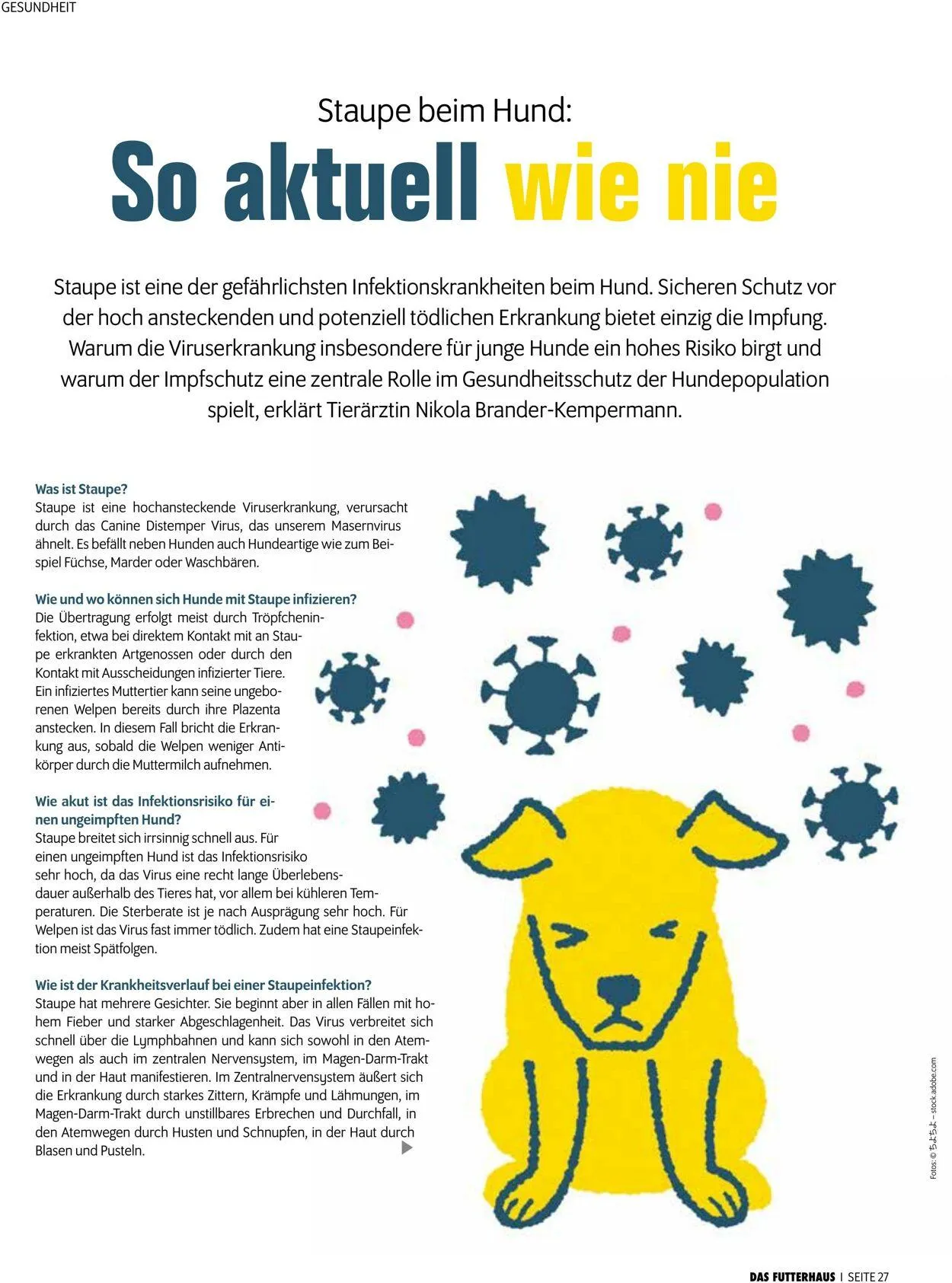 Futterhaus Aktueller Prospekt von 1. Oktober bis 31. Oktober 2025 - Prospekt seite 27