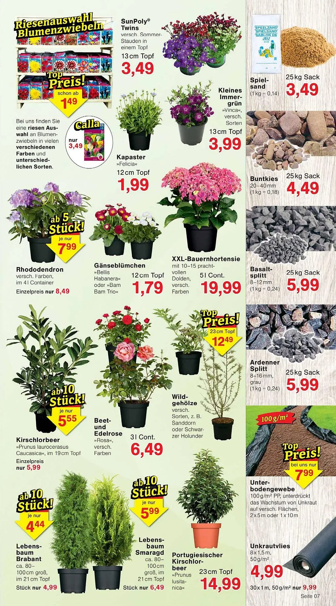 Wiglo Wunderland Prospekt von 23. März bis 28. März 2026 - Prospekt seite 11