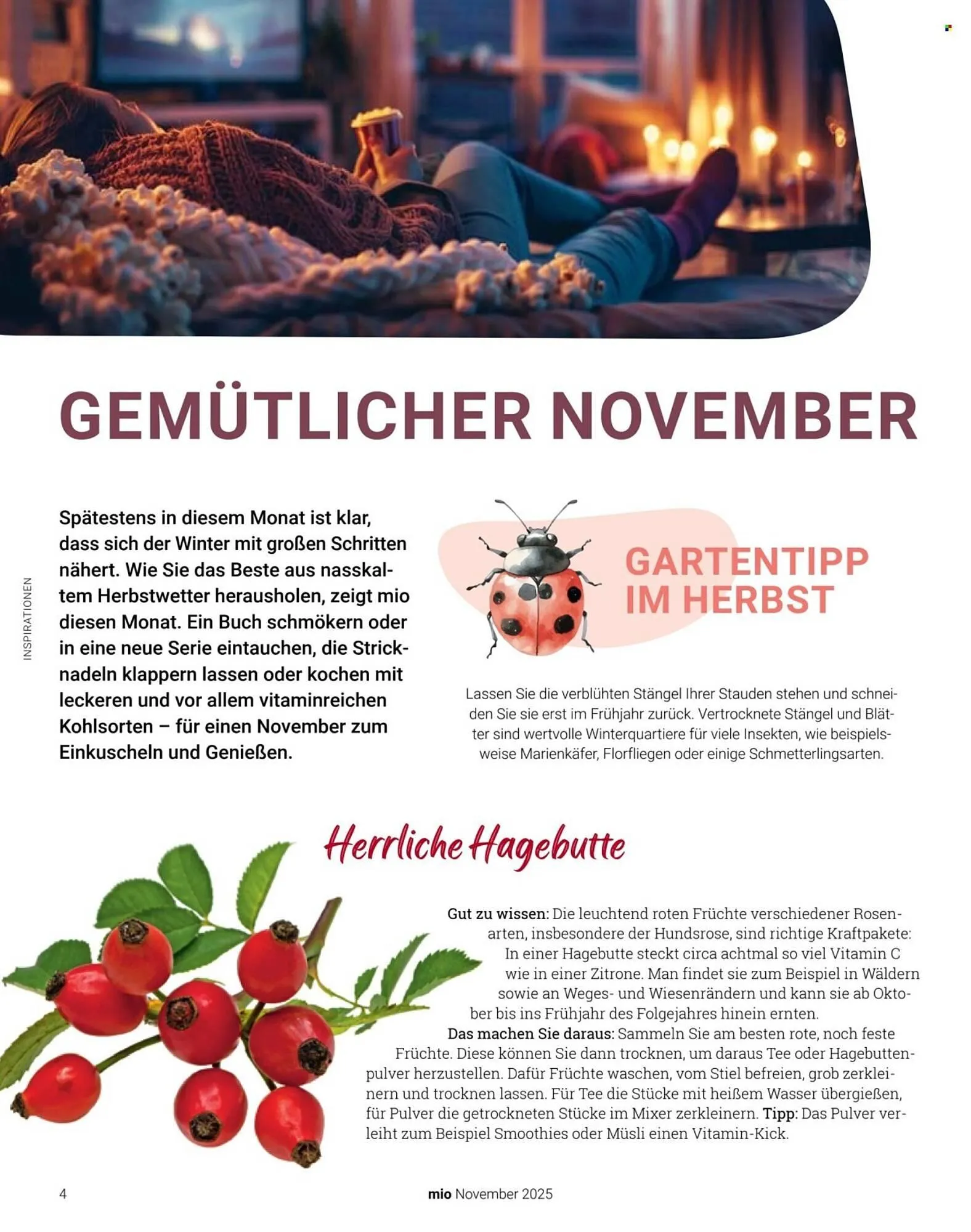 Globus Prospekt von 1. November bis 30. November 2025 - Prospekt seite 4