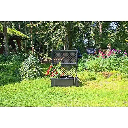 Pflanzkasten groß mit Spalier 100 cm,anthrazit