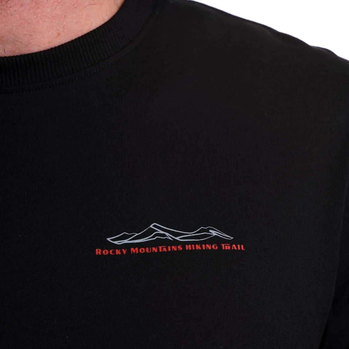 Herren Langarmshirt mit Rücken-Print