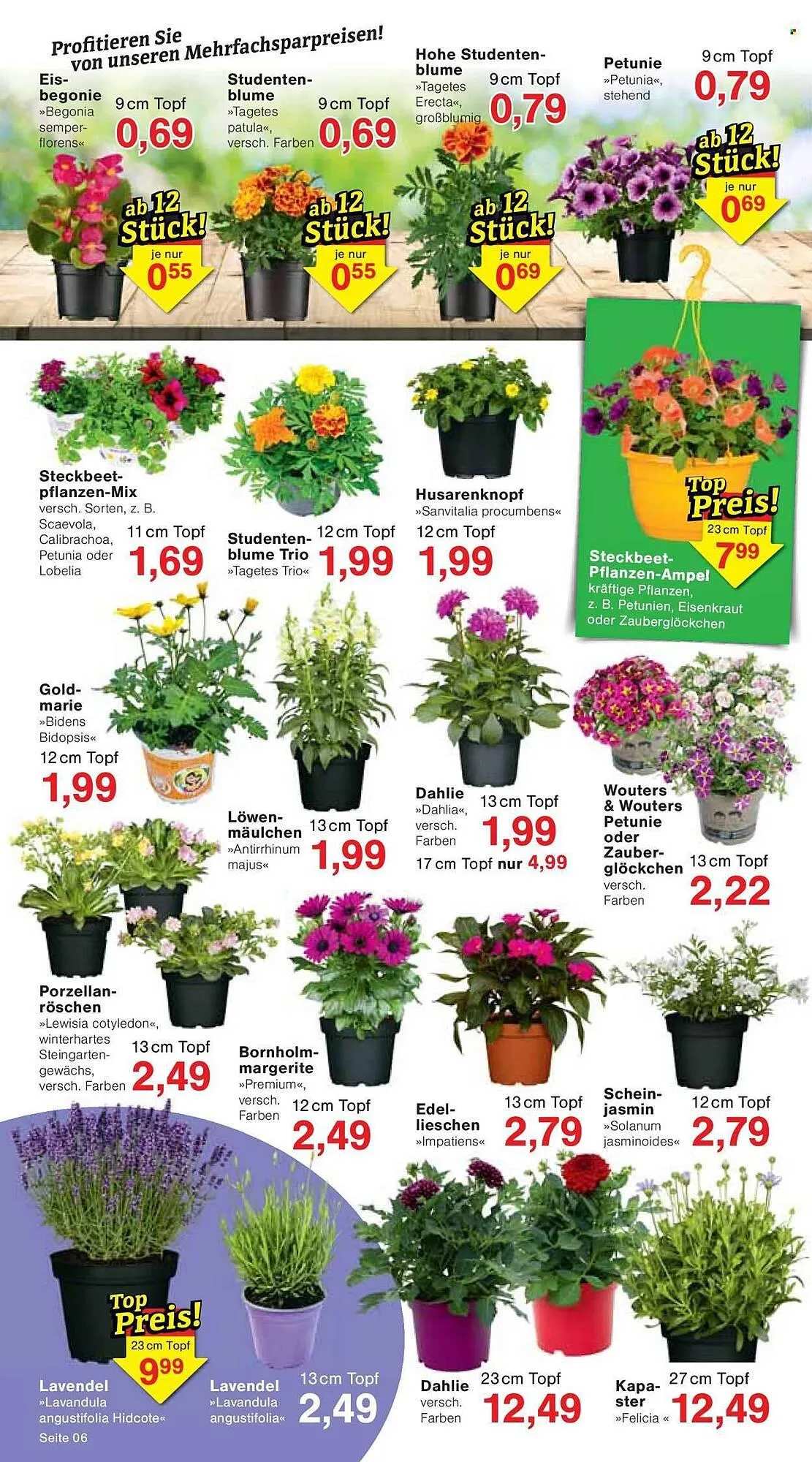 Jawoll Prospekt von 12. Mai bis 17. Mai 2025 - Prospekt seite 6