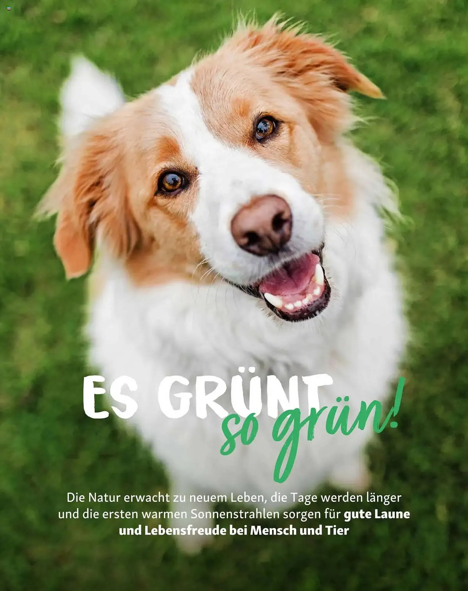 Fressnapf Prospekt von 1. März bis 2. Mai 2025 - Prospekt seite 11