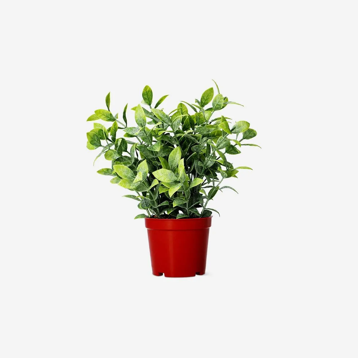 Decorative artificial plant