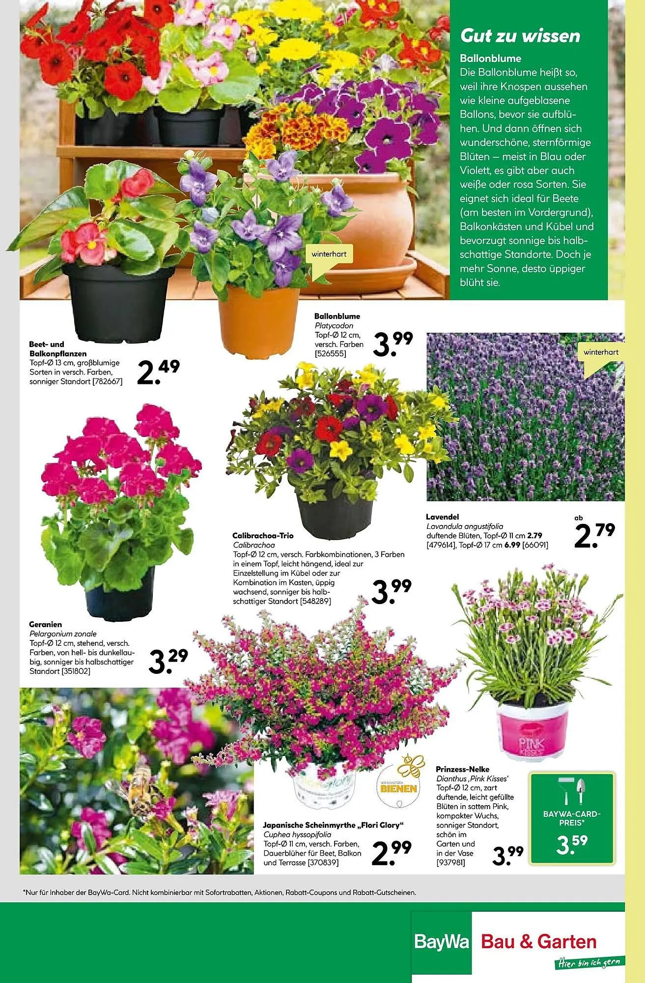 BayWa Prospekt von 16. Juni bis 21. Juni 2025 - Prospekt seite 22