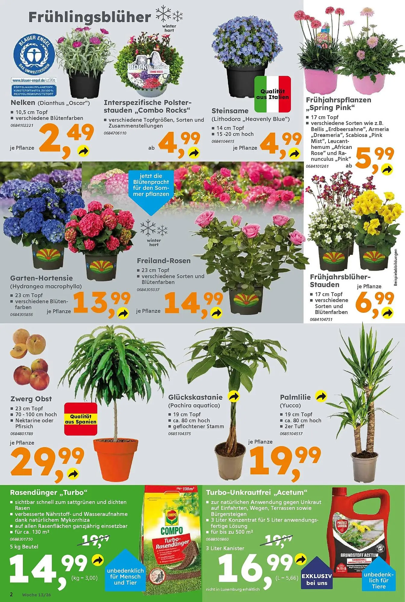 Globus Baumarkt Prospekt von 23. März bis 29. März 2026 - Prospekt seite 2