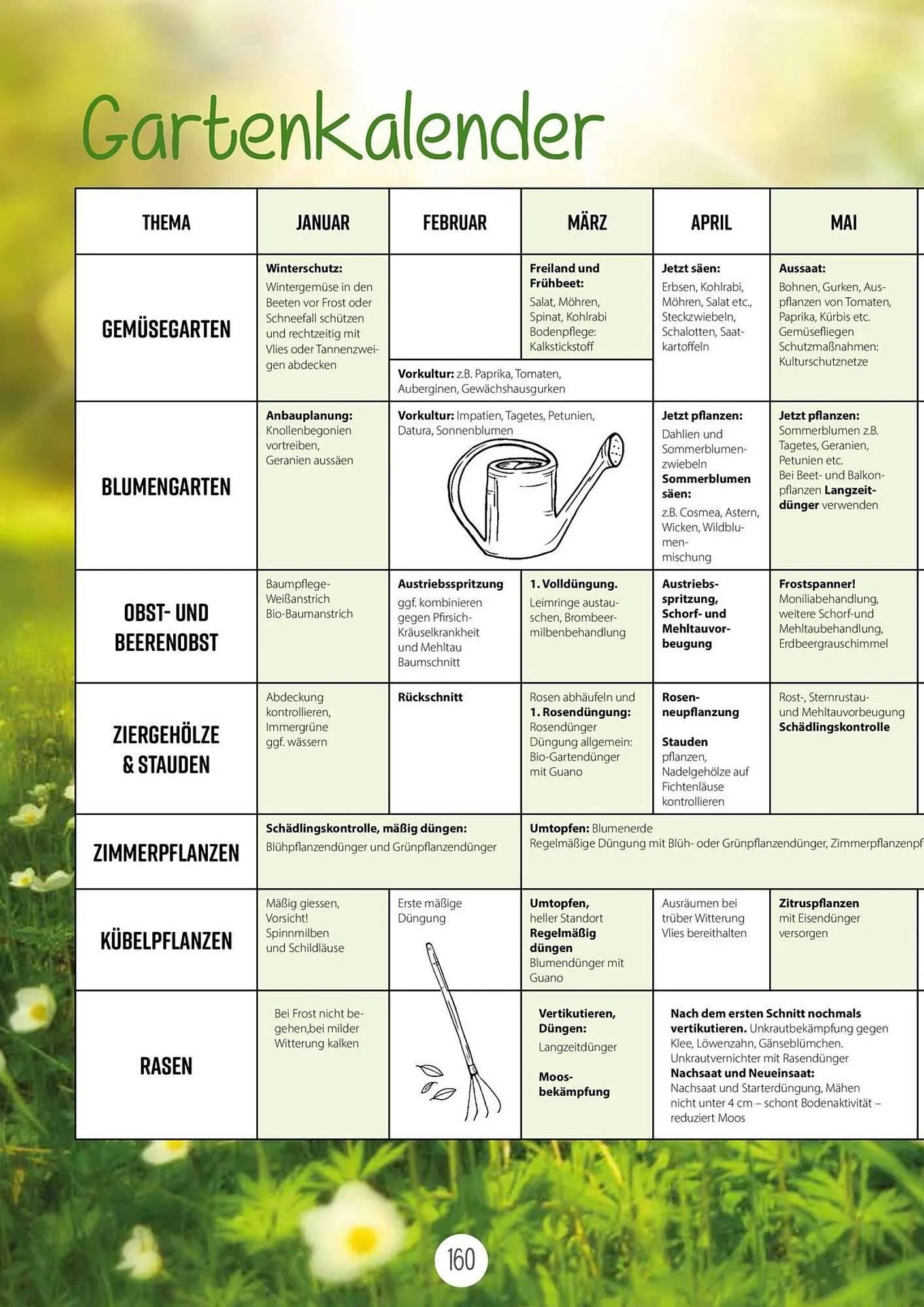 Kiebitzmarkt Prospekt von 16. April bis 31. August 2025 - Prospekt seite 160