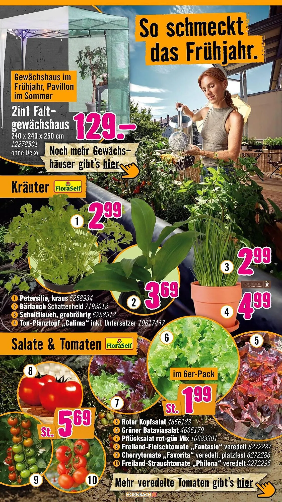 Hornbach Prospekt von 11. März bis 8. April 2026 - Prospekt seite 4