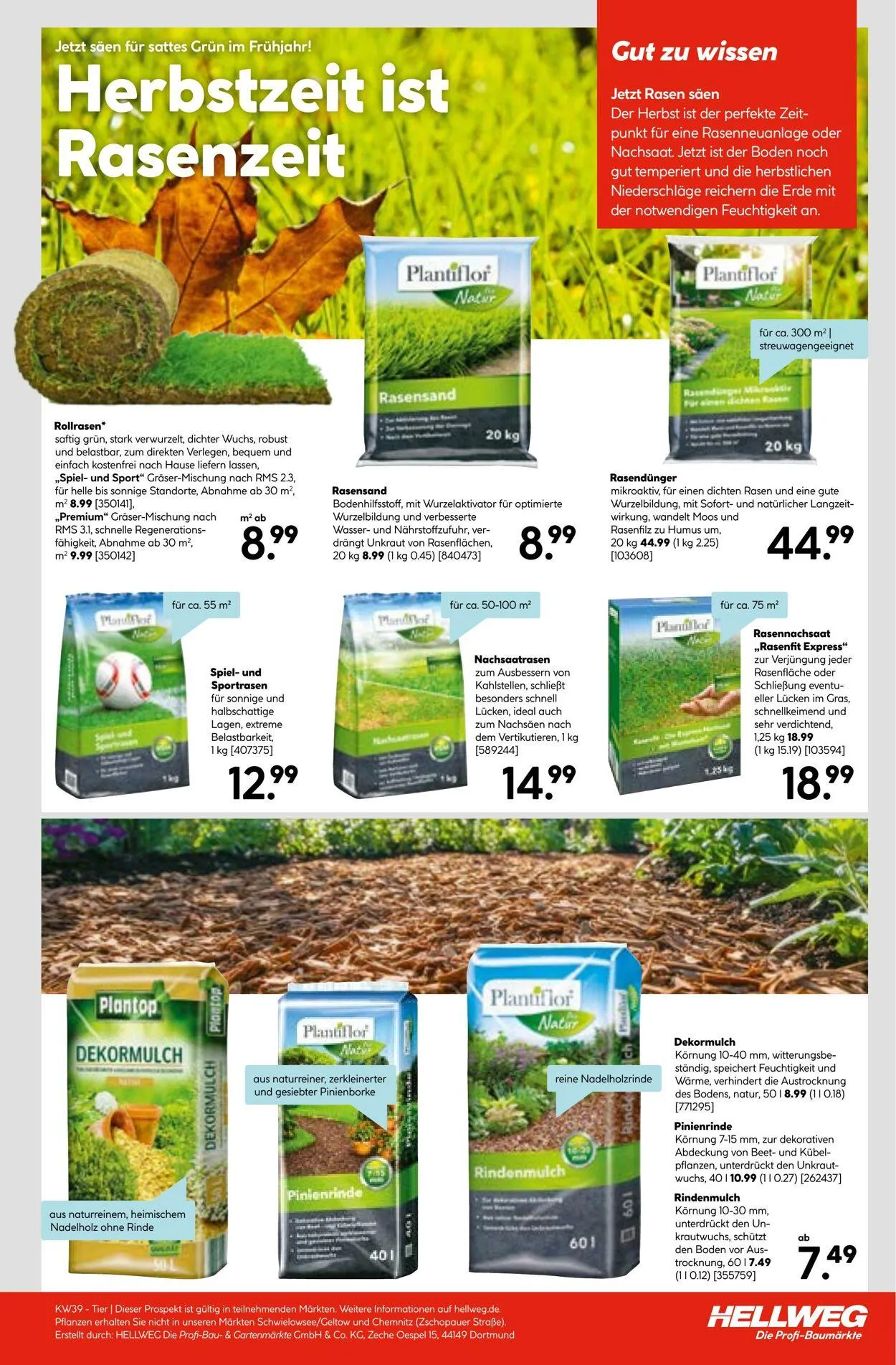 Hellweg Aktueller Prospekt von 8. Dezember bis 22. Dezember 2025 - Prospekt seite 23