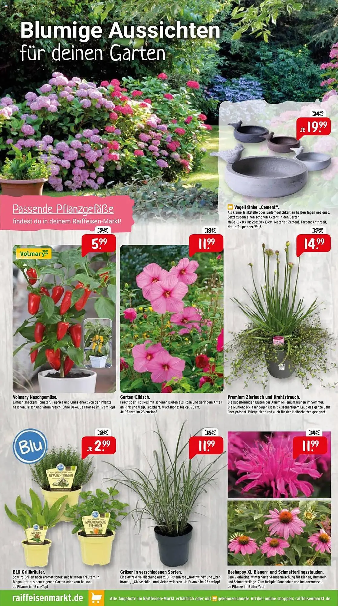 Raiffeisen Markt Prospekt von 1. Juli bis 31. Juli 2025 - Prospekt seite 5