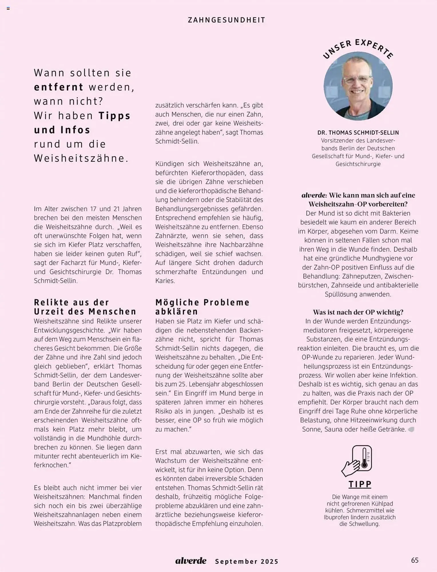 dm drogerie Magazin von 1. September bis 30. September 2025 - Prospekt seite 65