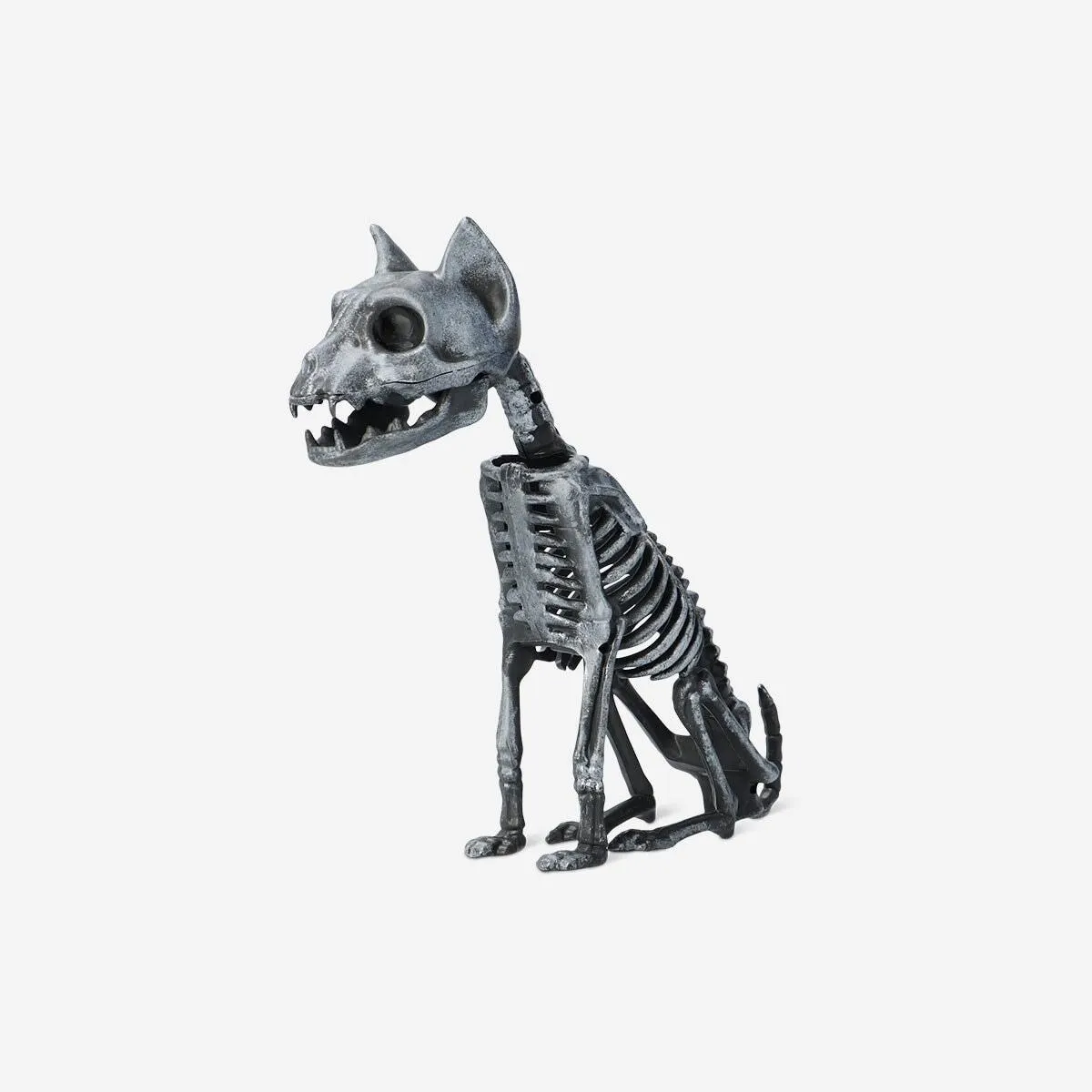 Skeleton cat