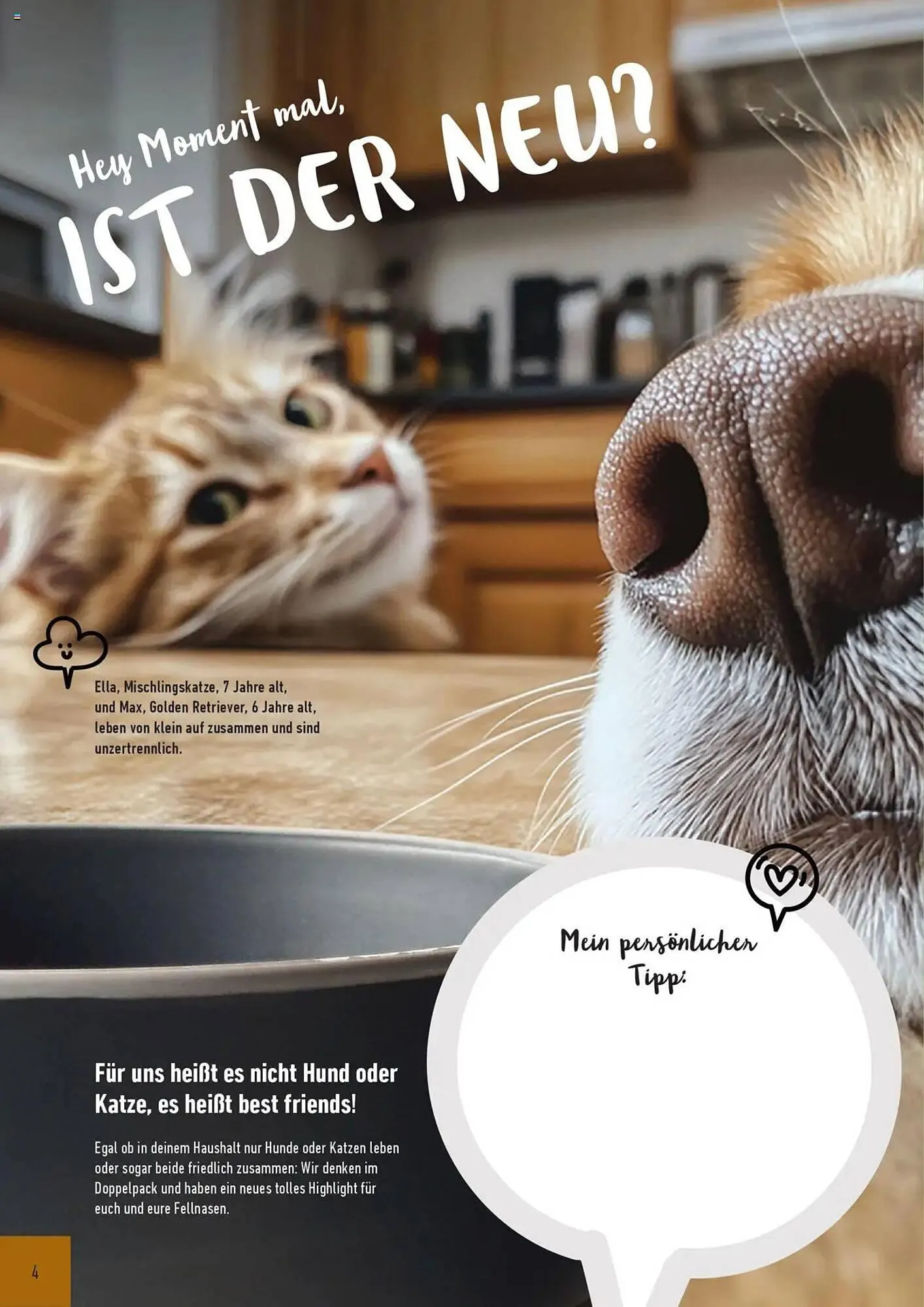 Prowin Prospekt von 1. Juli bis 30. Juni 2026 - Prospekt seite 4