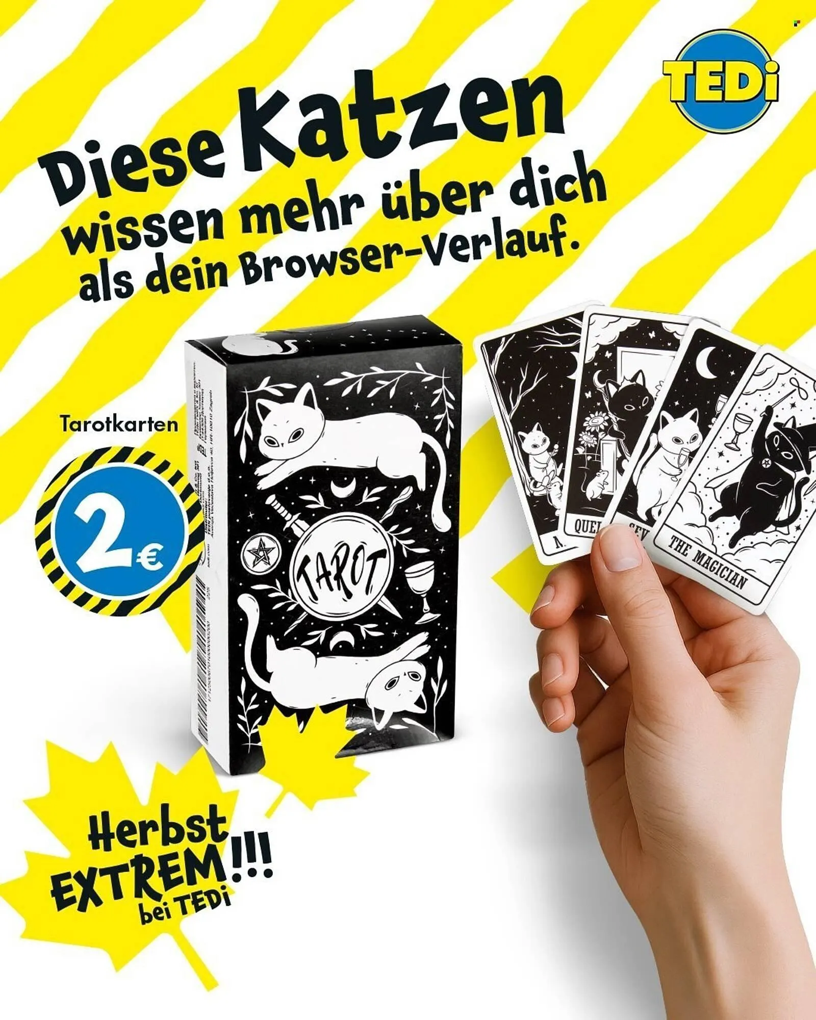 TEDi Prospekt von 29. September bis 7. Oktober 2025 - Prospekt seite 5