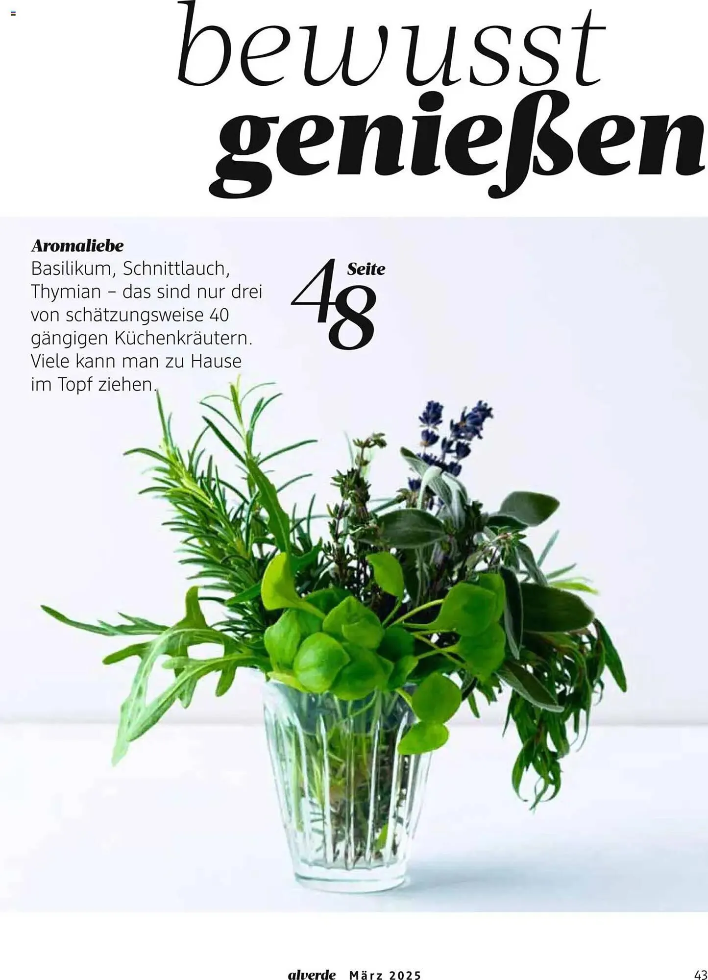 dm drogerie Prospekt von 1. März bis 31. März 2025 - Prospekt seite 43