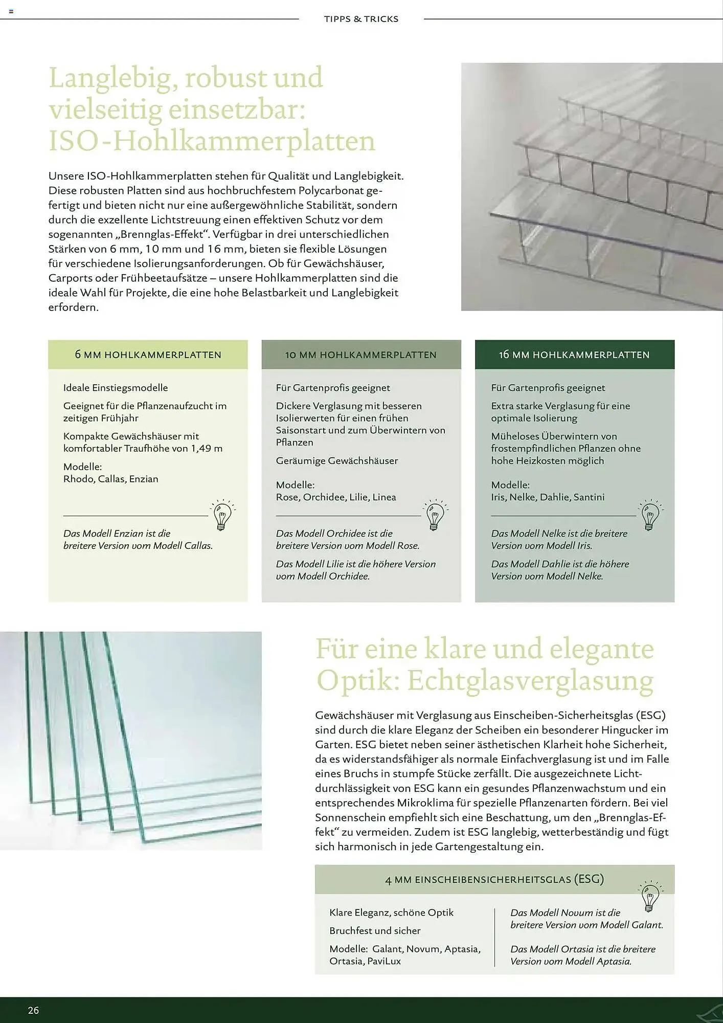 Dehner Prospekt von 1. Januar bis 31. Dezember 2026 - Prospekt seite 26