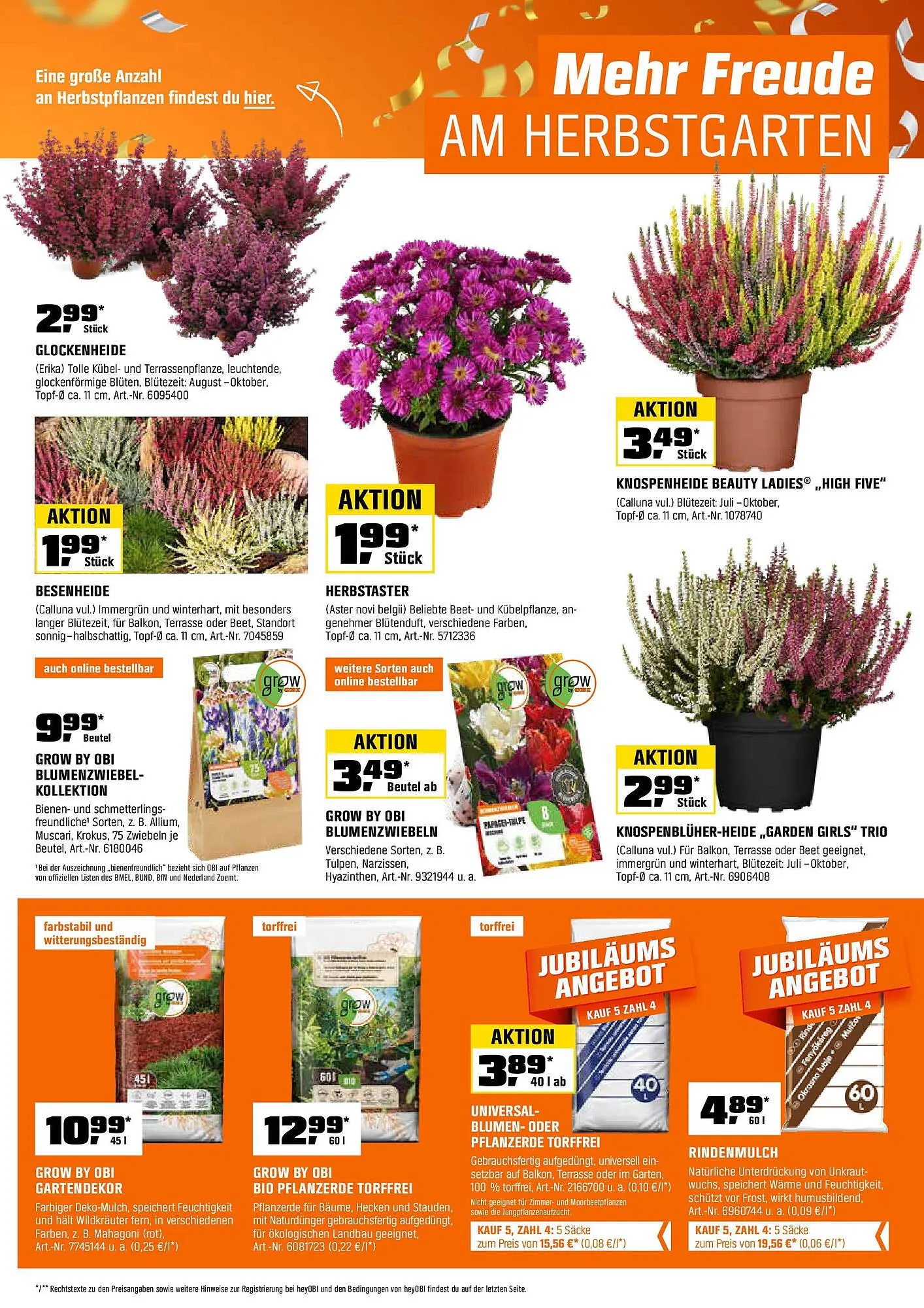 OBI Prospekt von 31. August bis 14. September 2025 - Prospekt seite 7