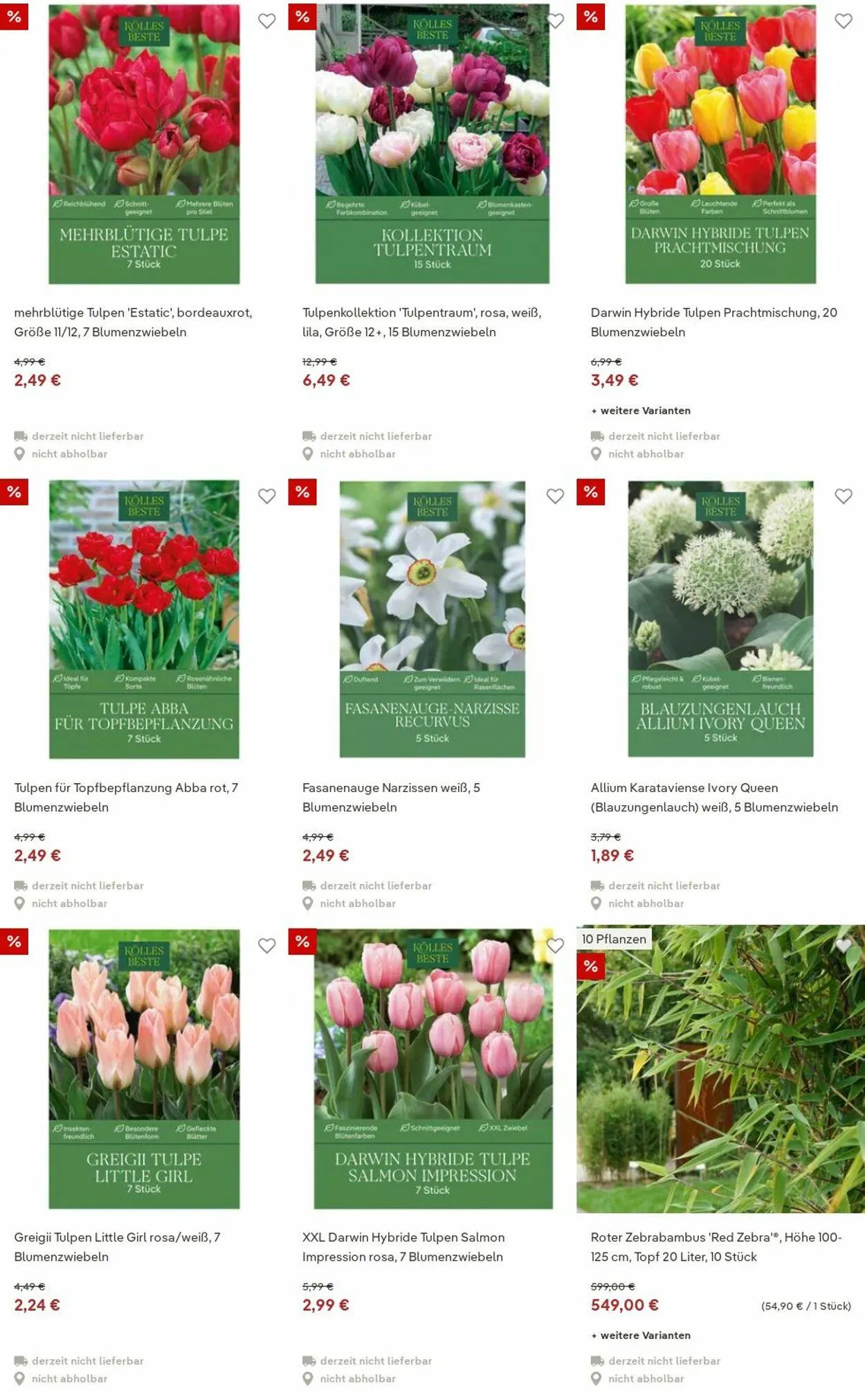 Pflanzen-Kölle Aktueller Prospekt von 15. Dezember bis 24. Dezember 2025 - Prospekt seite 75