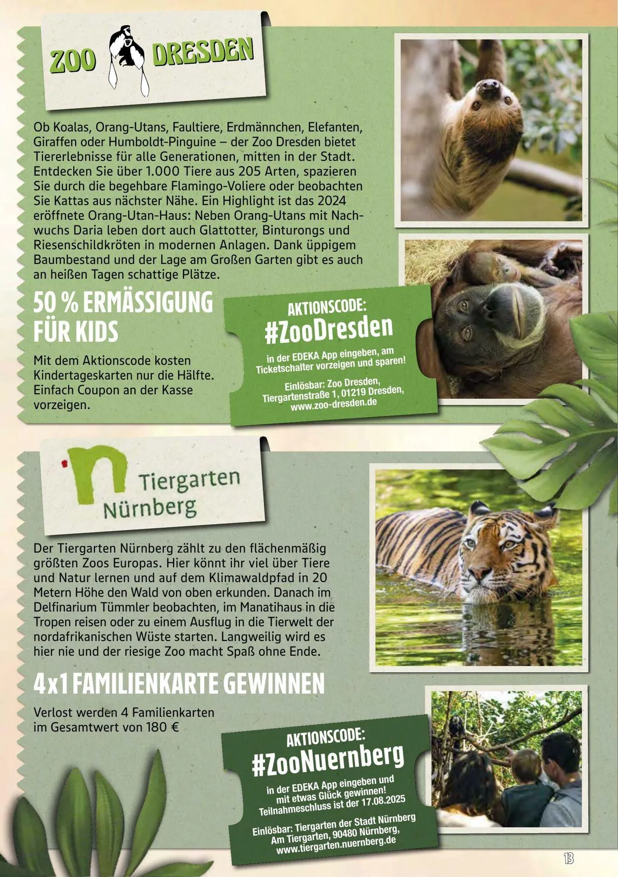 Marktkauf - Döbeln Aktueller Prospekt von 14. Juli bis 19. Juli 2025 - Prospekt seite 59