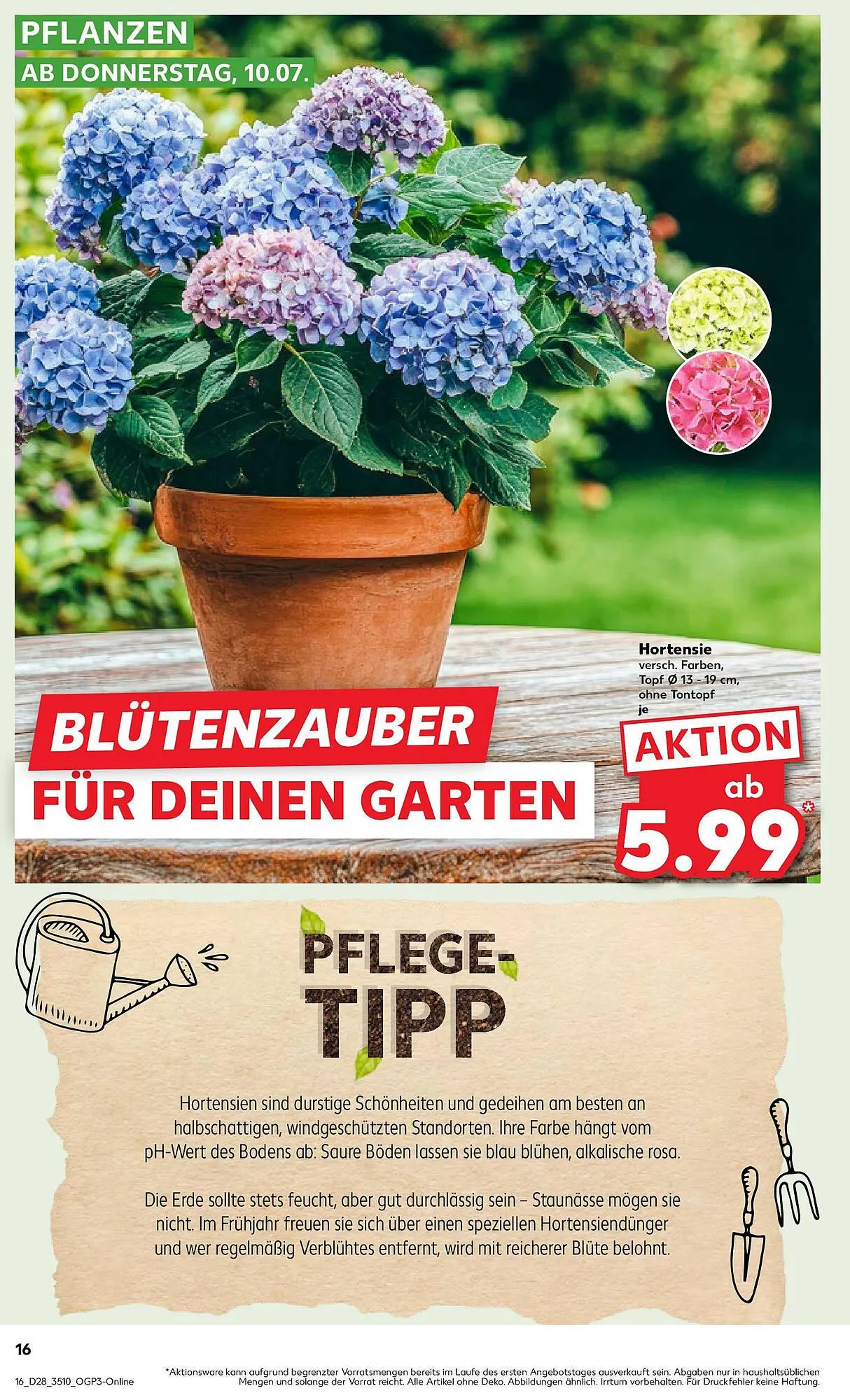 Kaufland Prospekt von 13. Juli bis 16. Juli 2025 - Prospekt seite 31