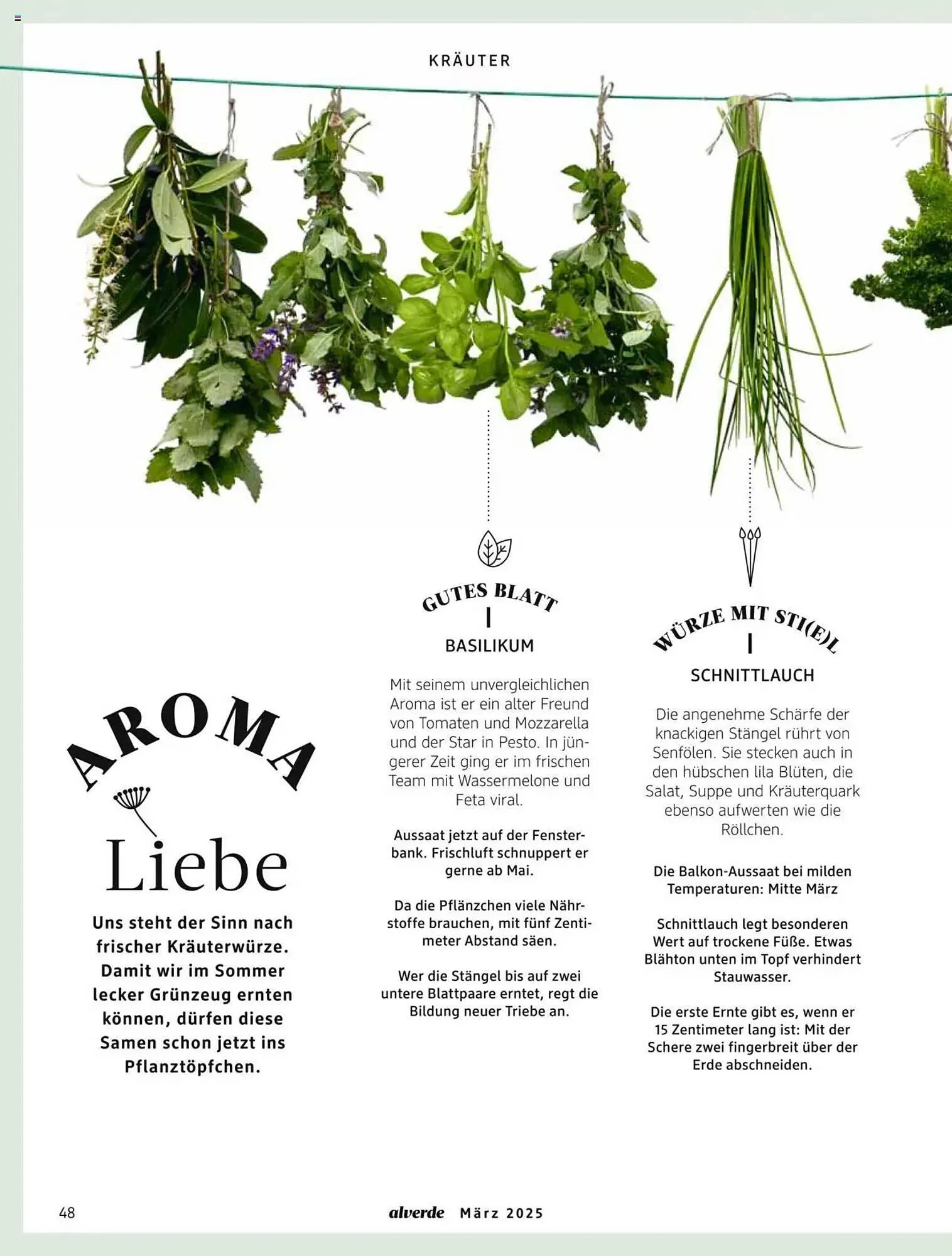 dm drogerie Prospekt von 1. März bis 31. März 2025 - Prospekt seite 48