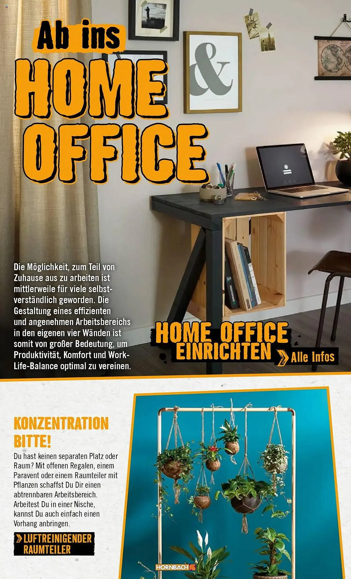 Hornbach Prospekt von 8. Juni bis 31. Dezember 2025 - Prospekt seite 34