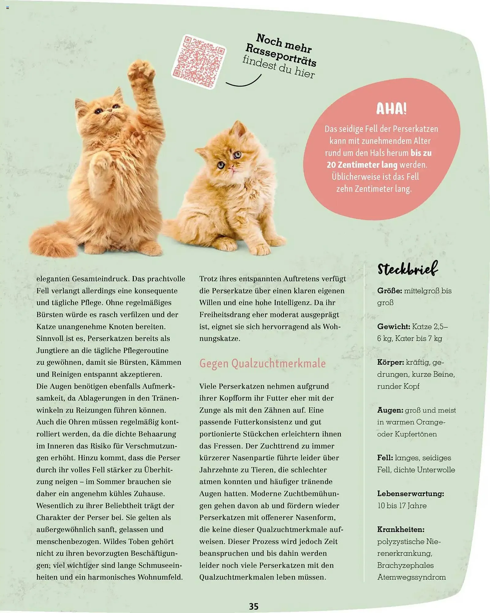 Fressnapf Magazin von 2. März bis 30. April 2026 - Prospekt seite 35