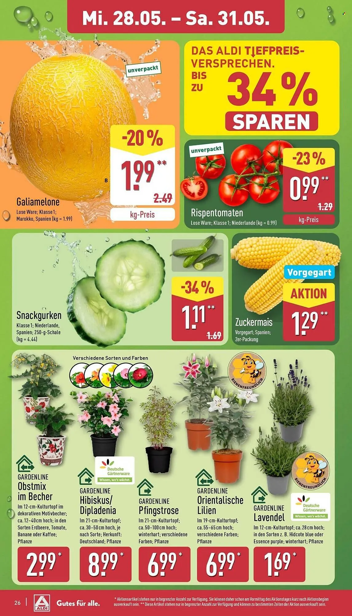 Aldi Nord Prospekt von 26. Mai bis 31. Mai 2025 - Prospekt seite 26