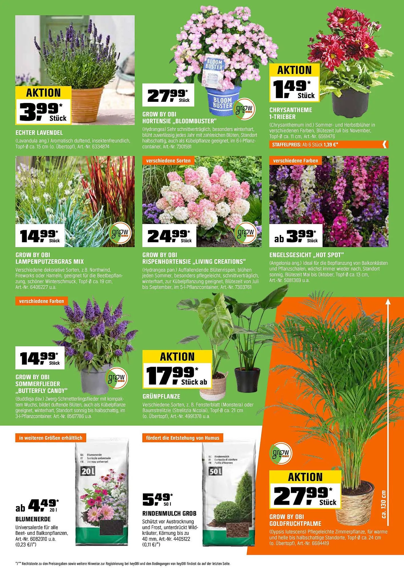 OBI Prospekt von 15. Juli bis 31. Juli 2025 - Prospekt seite 11