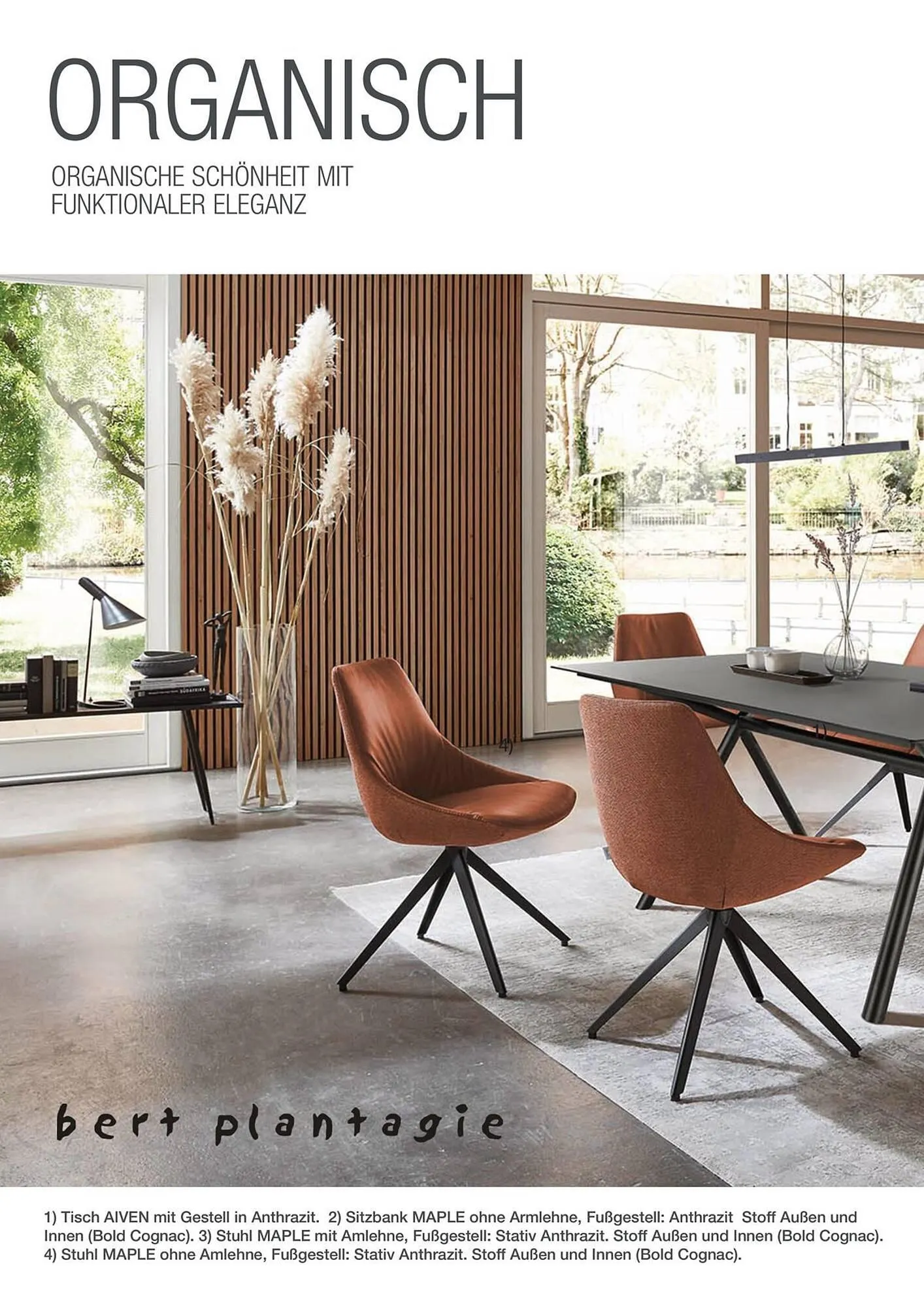 Multipolster Prospekt von 25. Juni bis 25. Juli 2025 - Prospekt seite 64