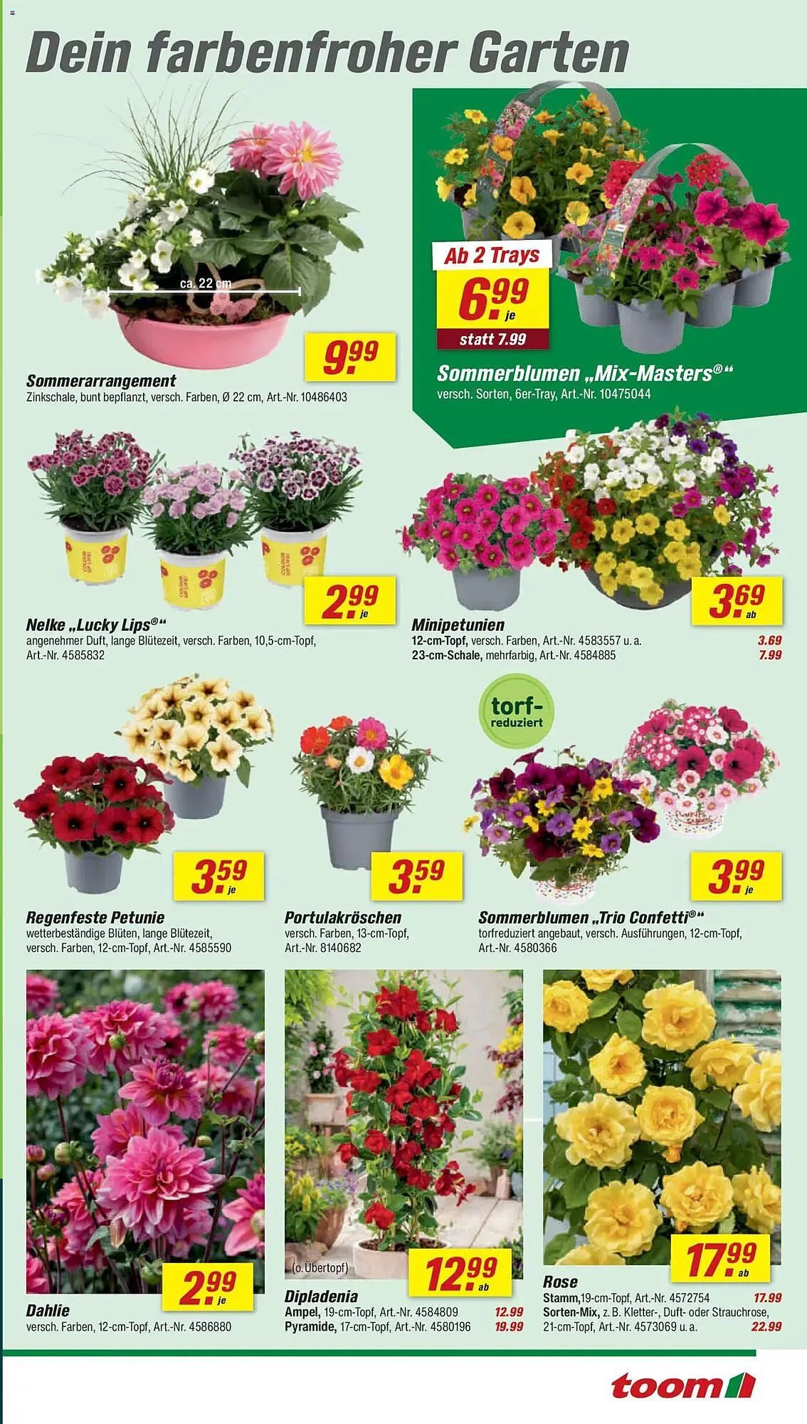 Toom Baumarkt Prospekt von 16. Mai bis 22. Mai 2026 - Prospekt seite 3