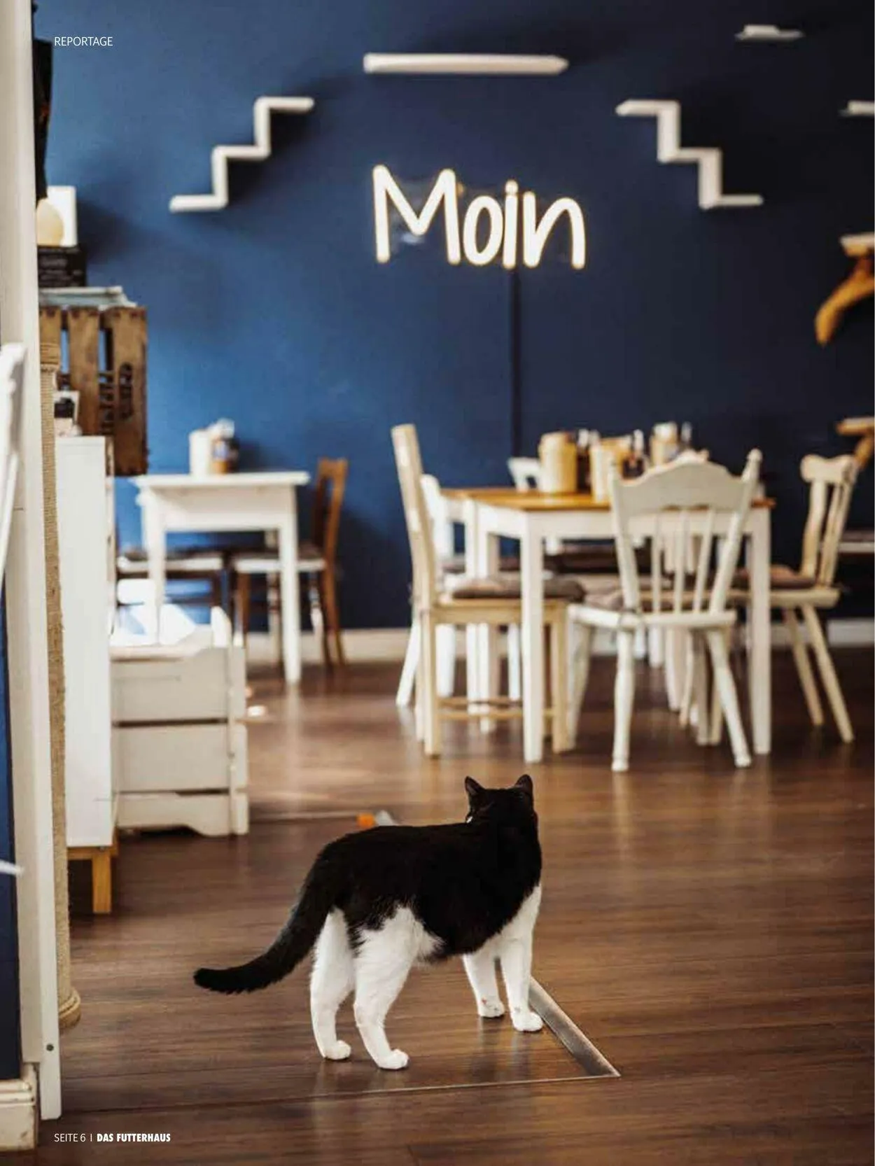 Futterhaus Aktueller Prospekt von 1. August bis 31. August 2025 - Prospekt seite 6