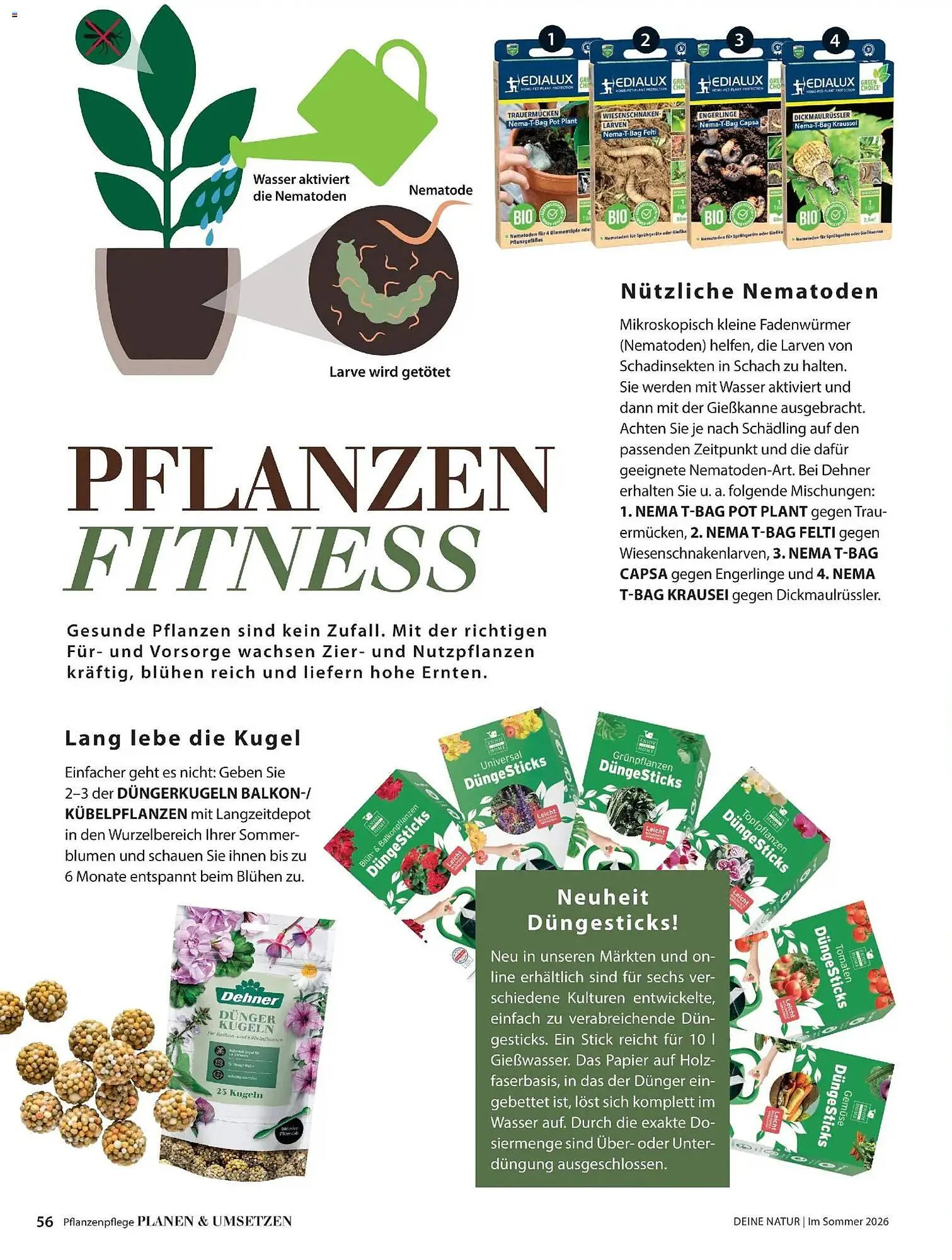 Dehner Prospekt von 17. April bis 31. August 2026 - Prospekt seite 56
