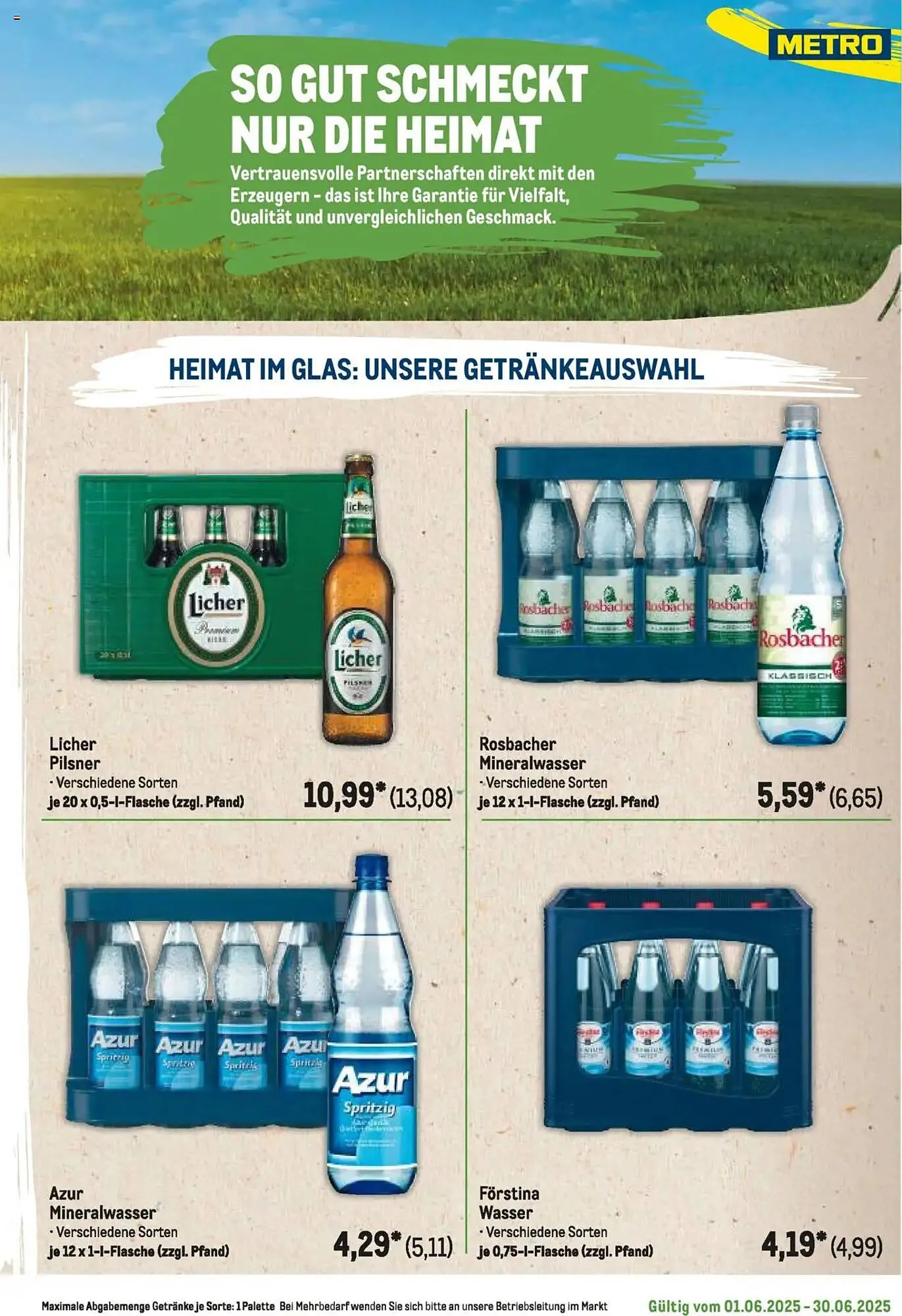 METRO Prospekt von 1. Juni bis 30. Juni 2025 - Prospekt seite 317