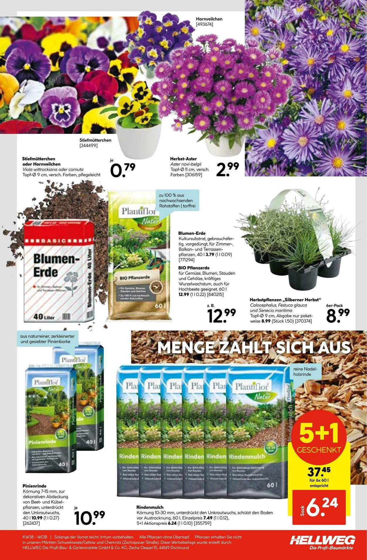 Hellweg Aktueller Prospekt von 27. Oktober bis 10. November 2025 - Prospekt seite 23