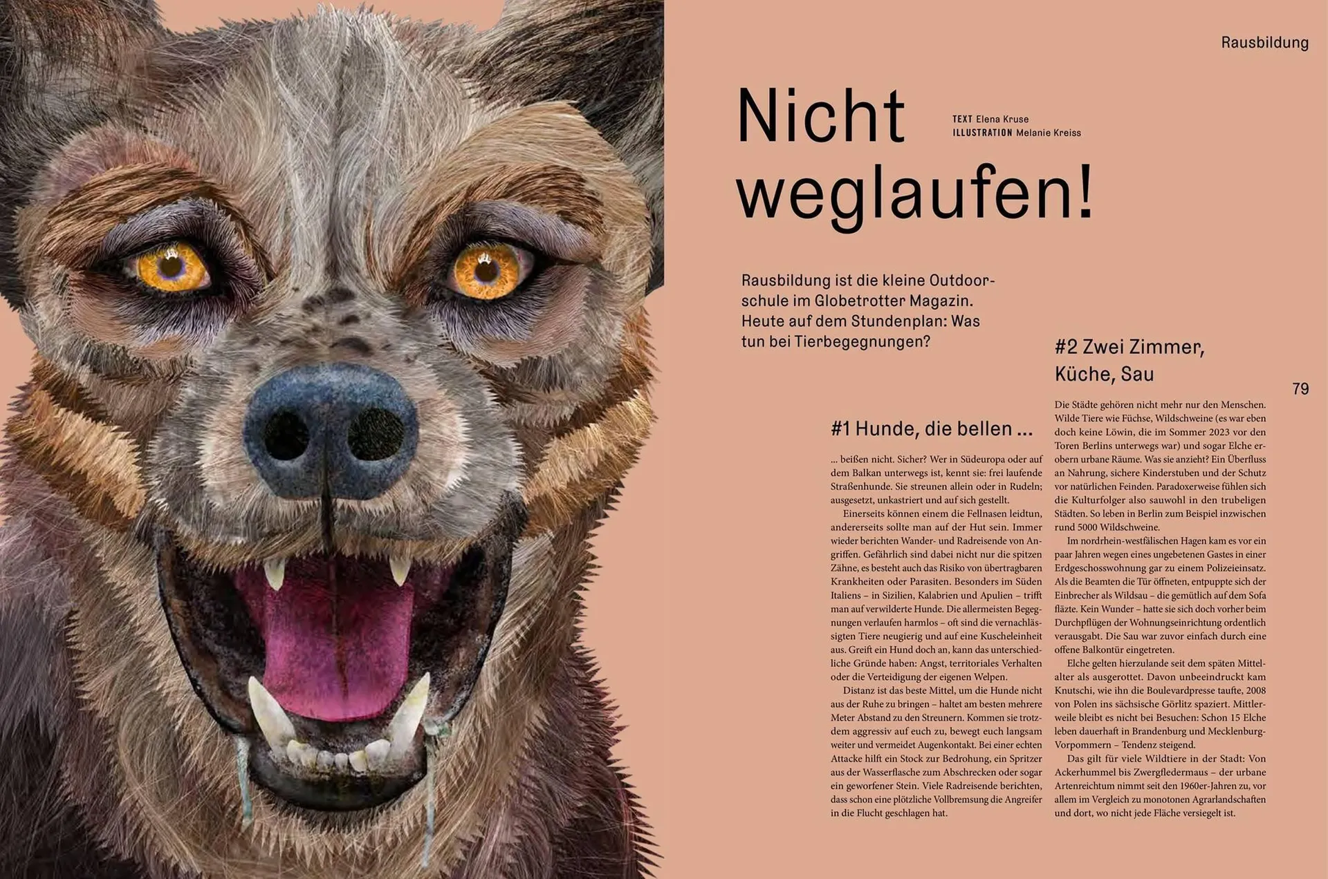 Globetrotter Prospekt von 26. September bis 31. Dezember 2025 - Prospekt seite 40