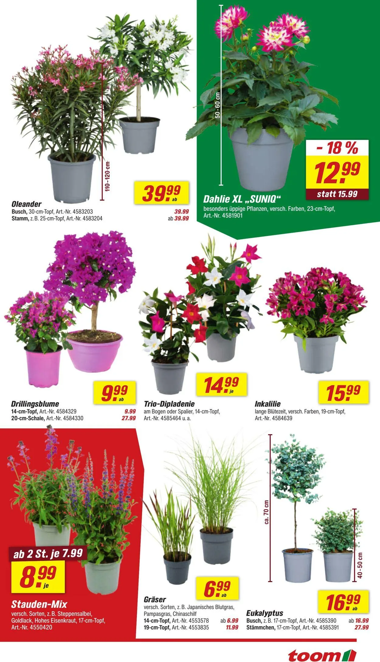 toom Baumarkt Aktueller Prospekt von 15. September bis 29. September 2025 - Prospekt seite 5