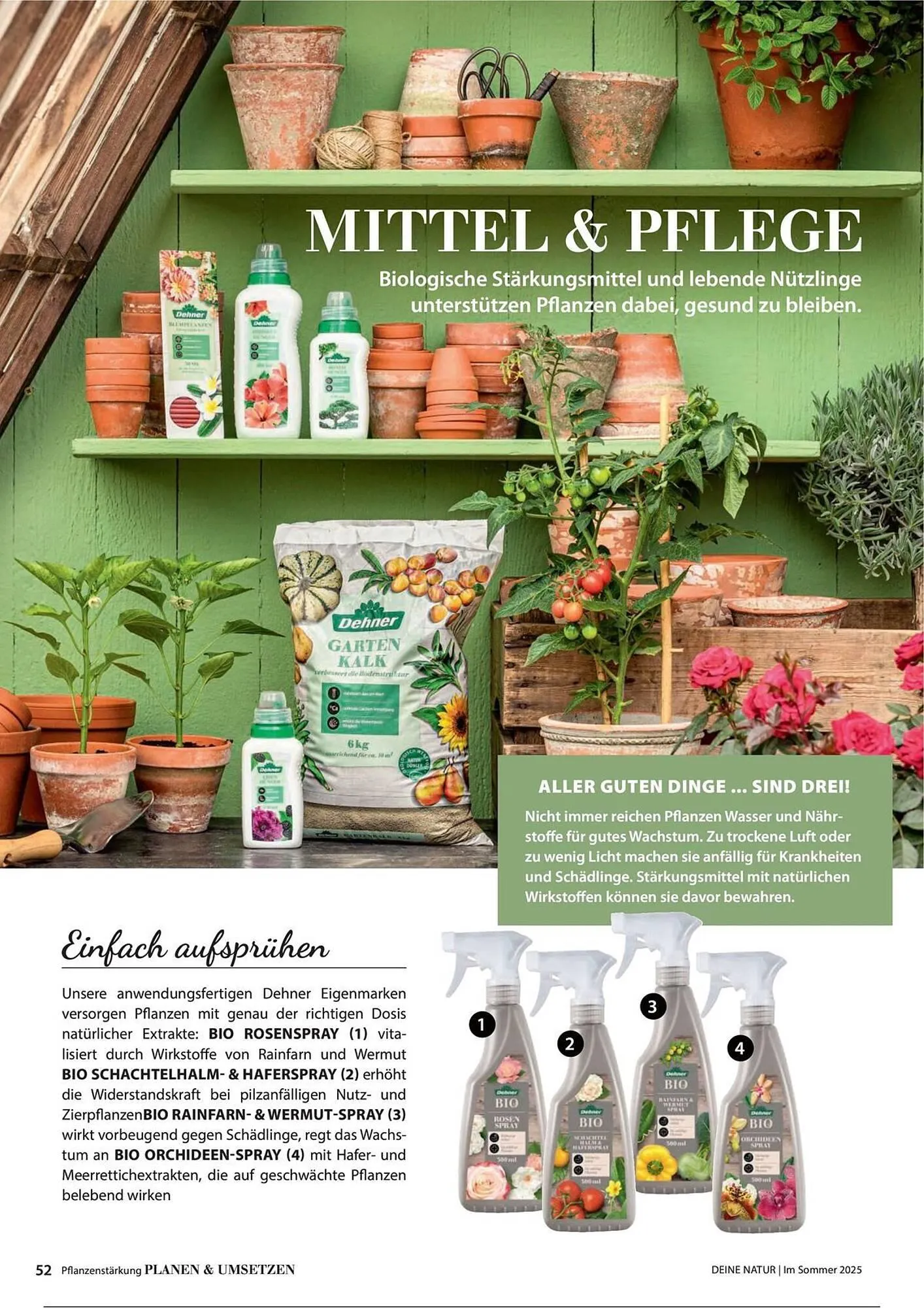 Dehner Prospekt von 1. Juli bis 31. Dezember 2025 - Prospekt seite 52