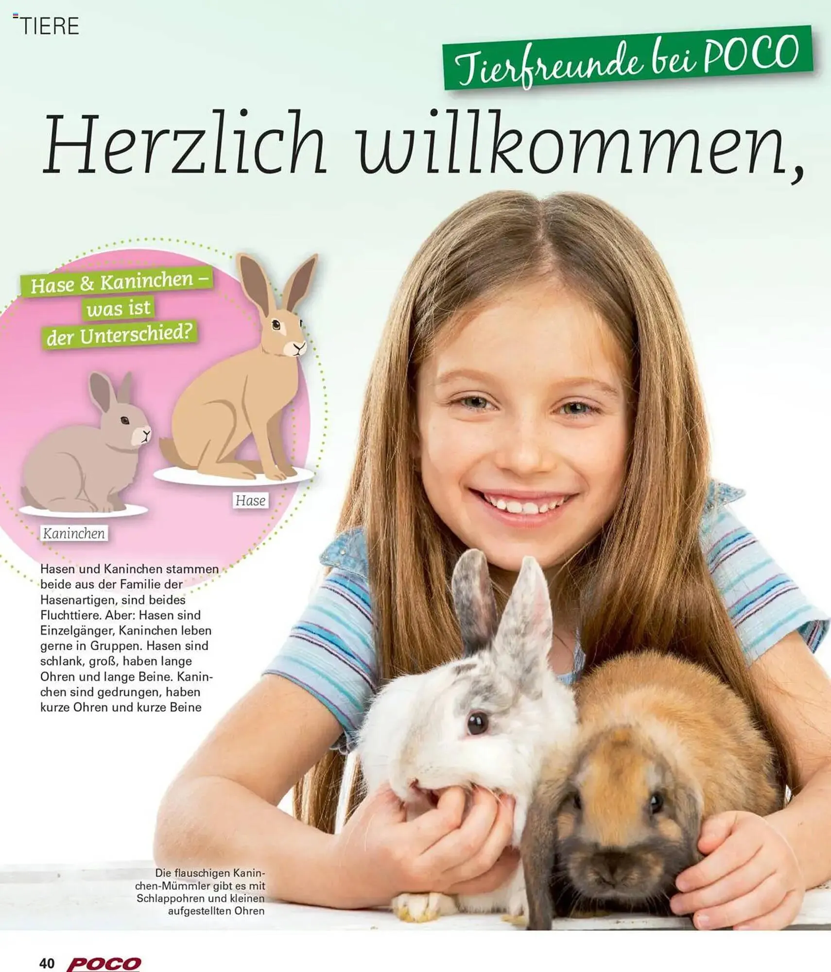 Poco Prospekt von 14. Februar bis 27. April 2025 - Prospekt seite 40