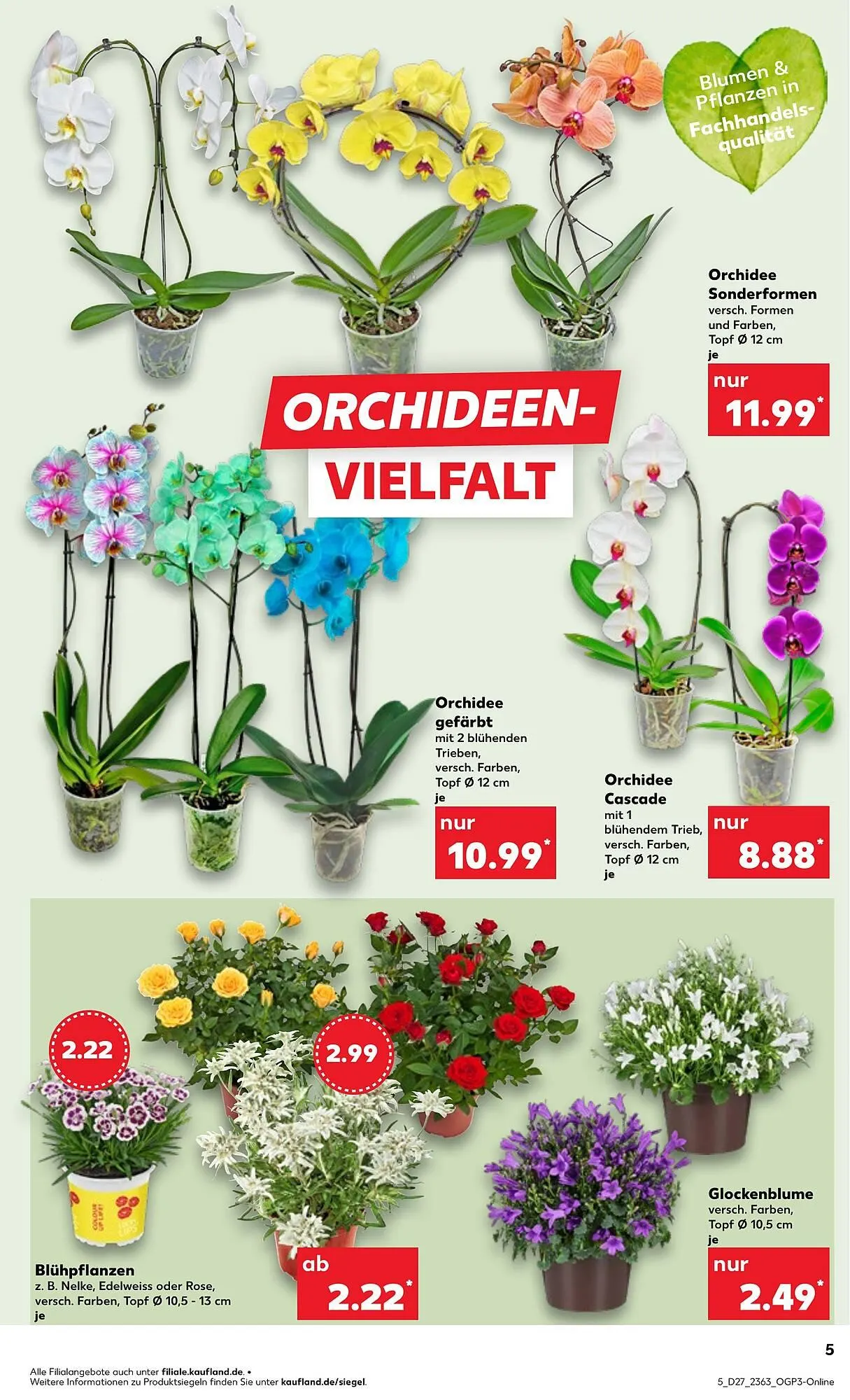 Kaufland Prospekt von 3. Juli bis 9. Juli 2025 - Prospekt seite 5