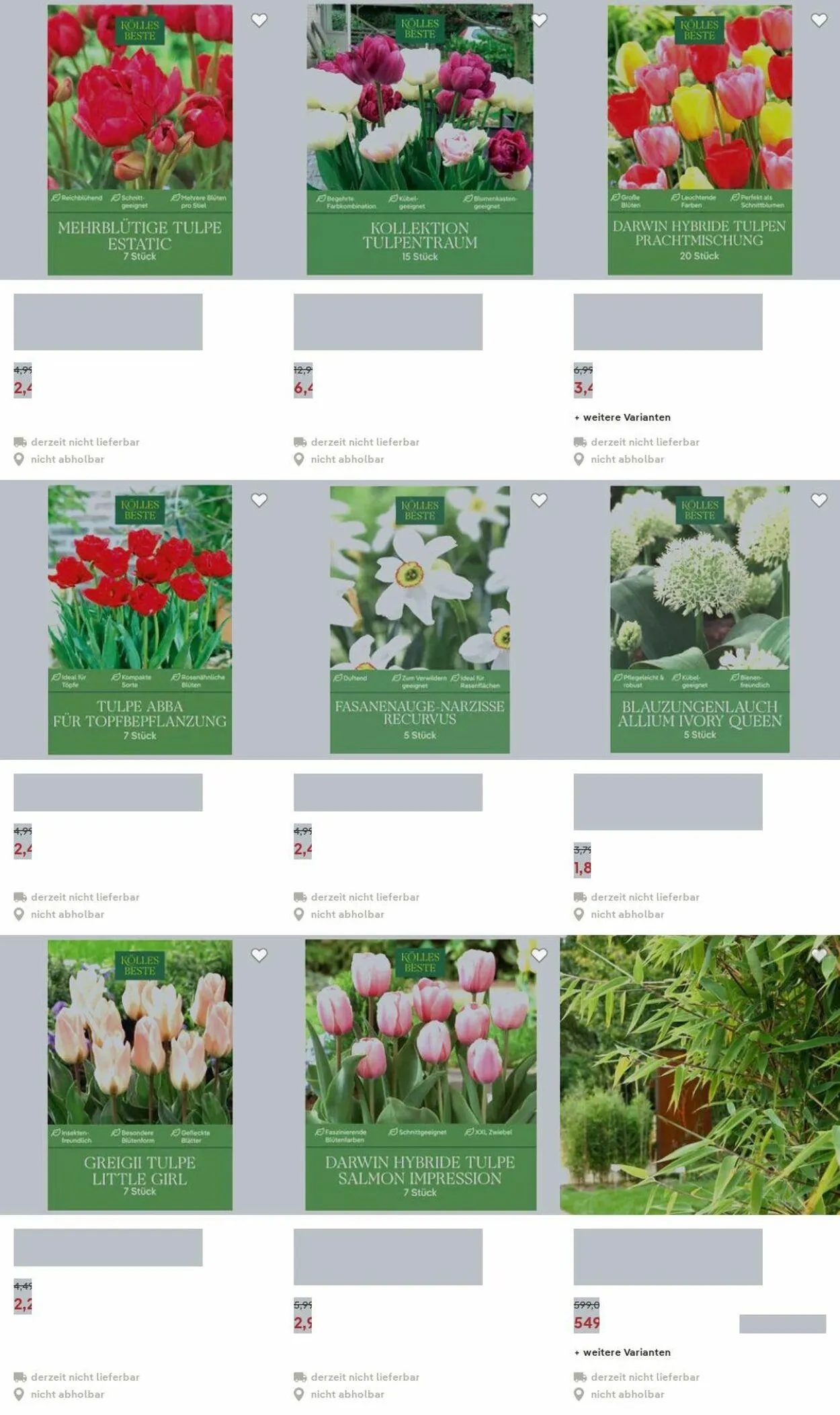 Pflanzen-Kölle Aktueller Prospekt von 15. Dezember bis 24. Dezember 2025 - Prospekt seite 25